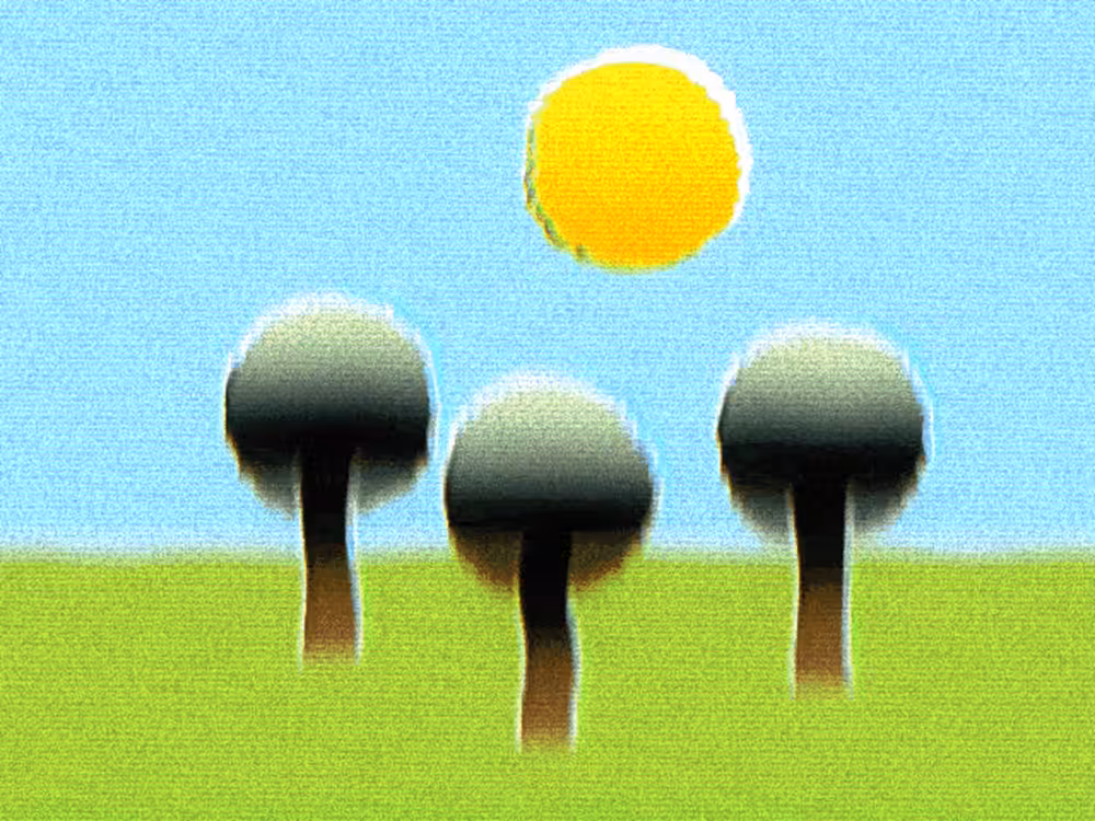 Trip in the park