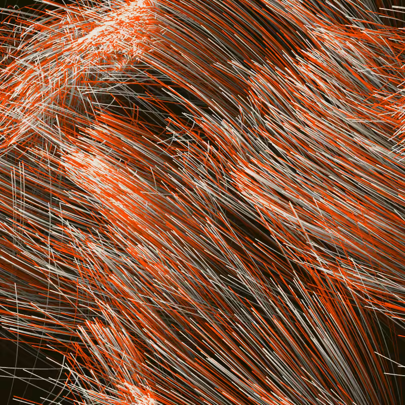 Strange Attractor Swarm #25