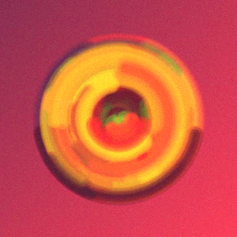 Wisp #413
