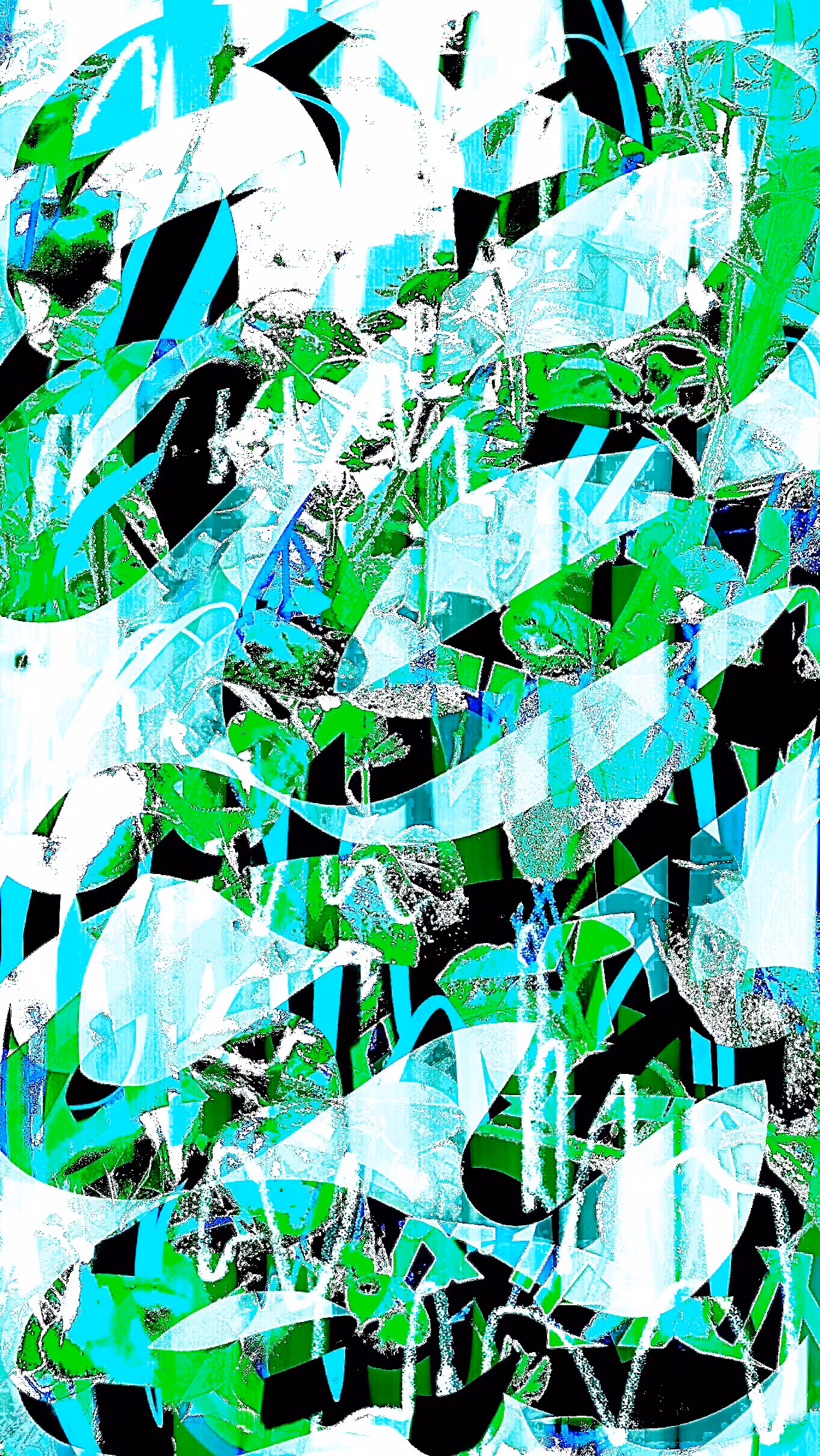 Limeade