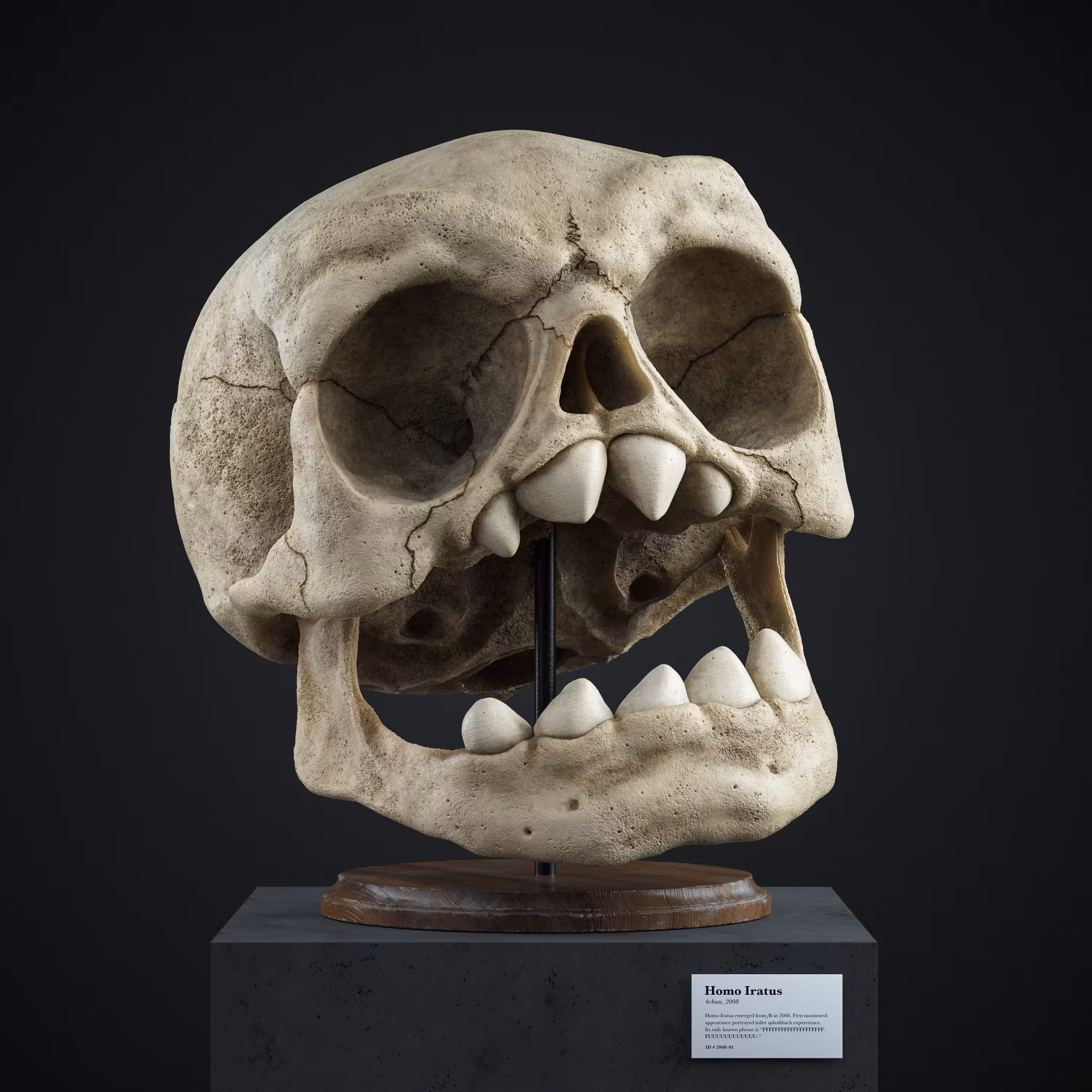 Rage face (Homo Iratus) - Still