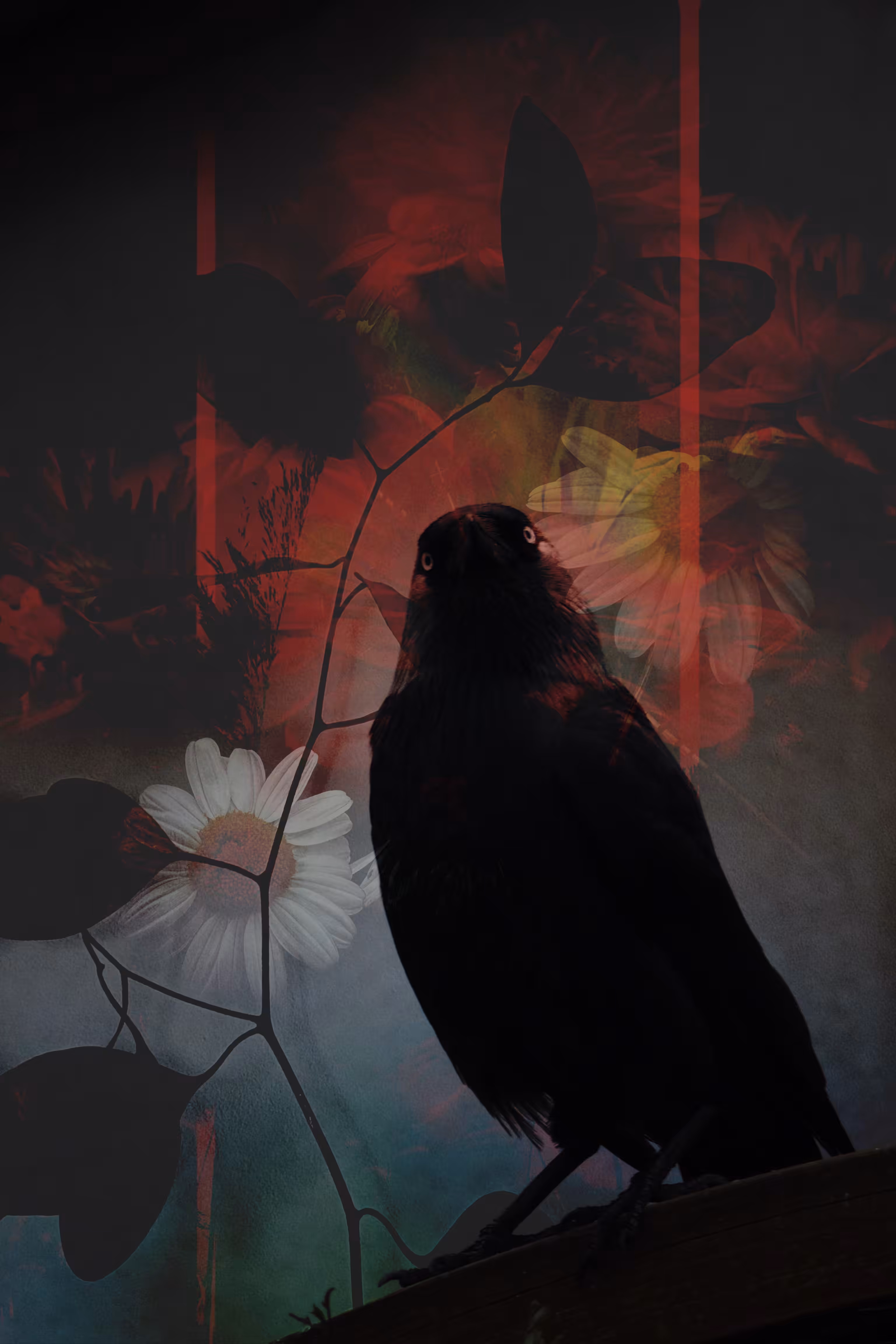 Birb of Absolution