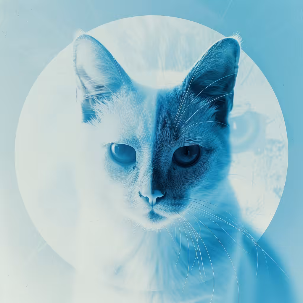 Purr-Moonr