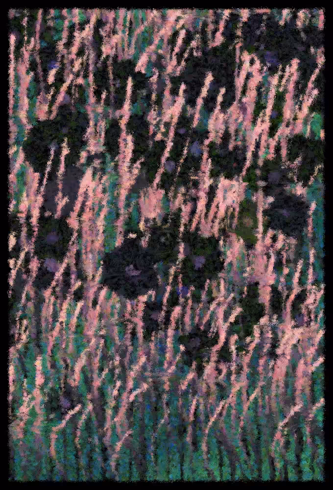 Blooms #191