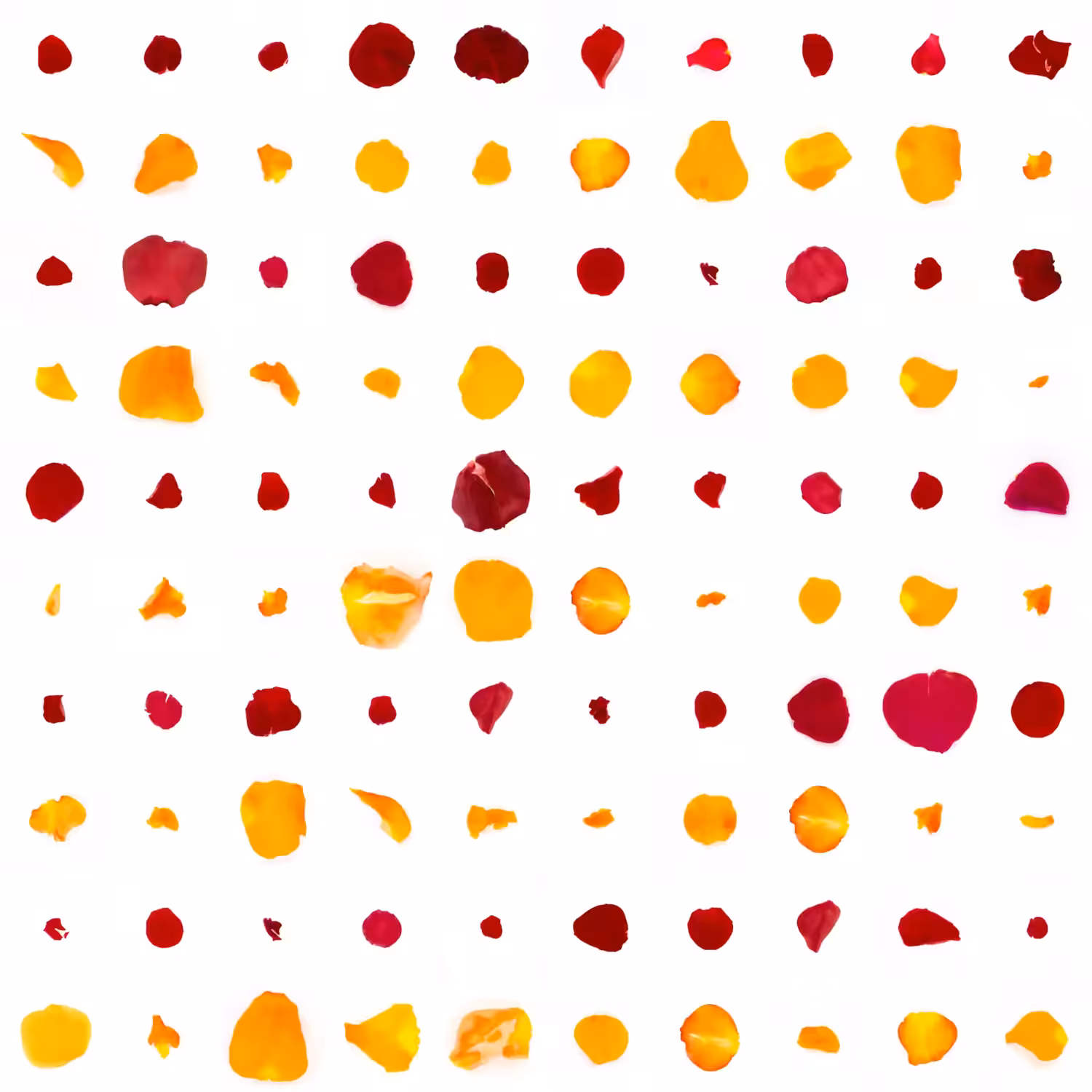 Infinite Petals 10x10#10180