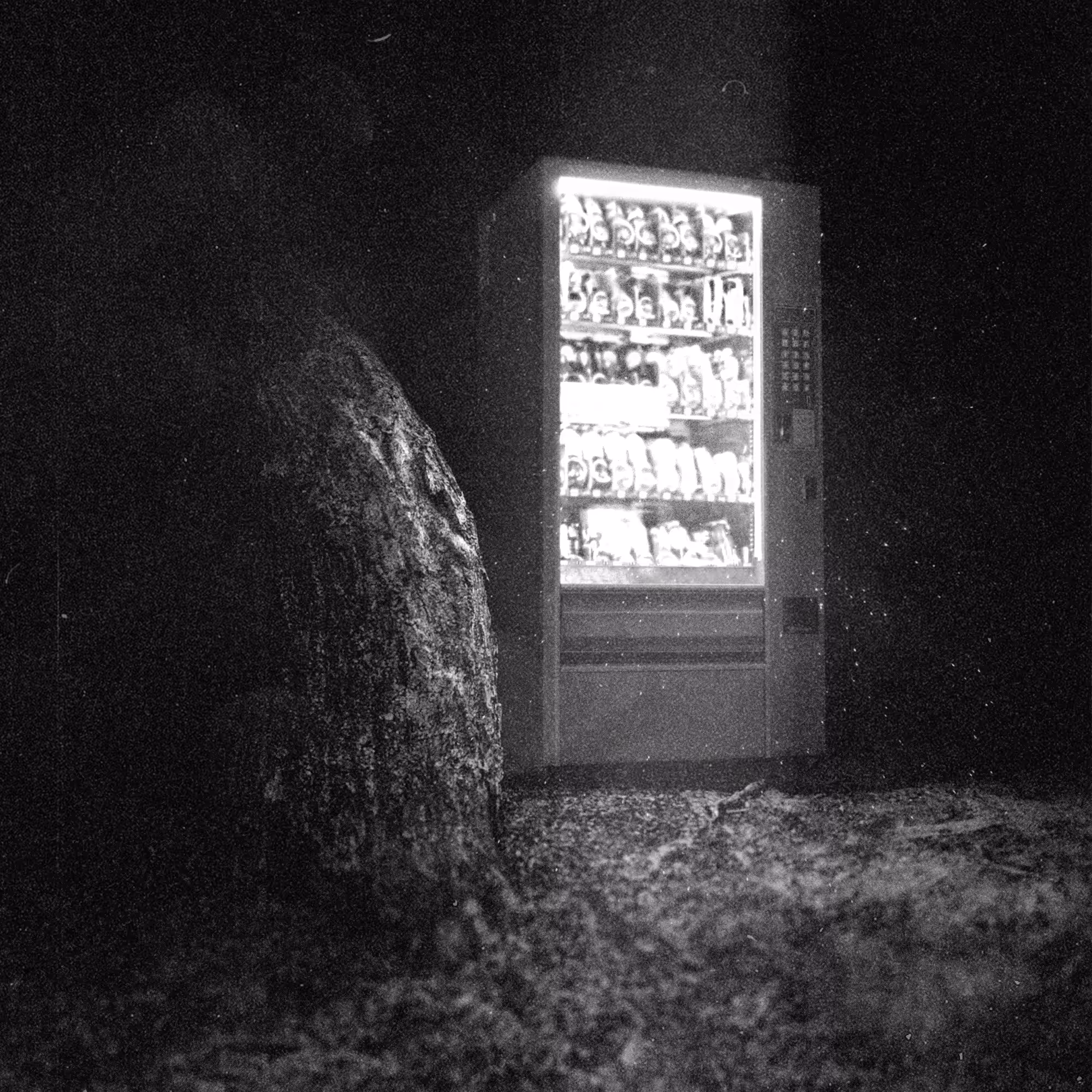 Voyeur #2