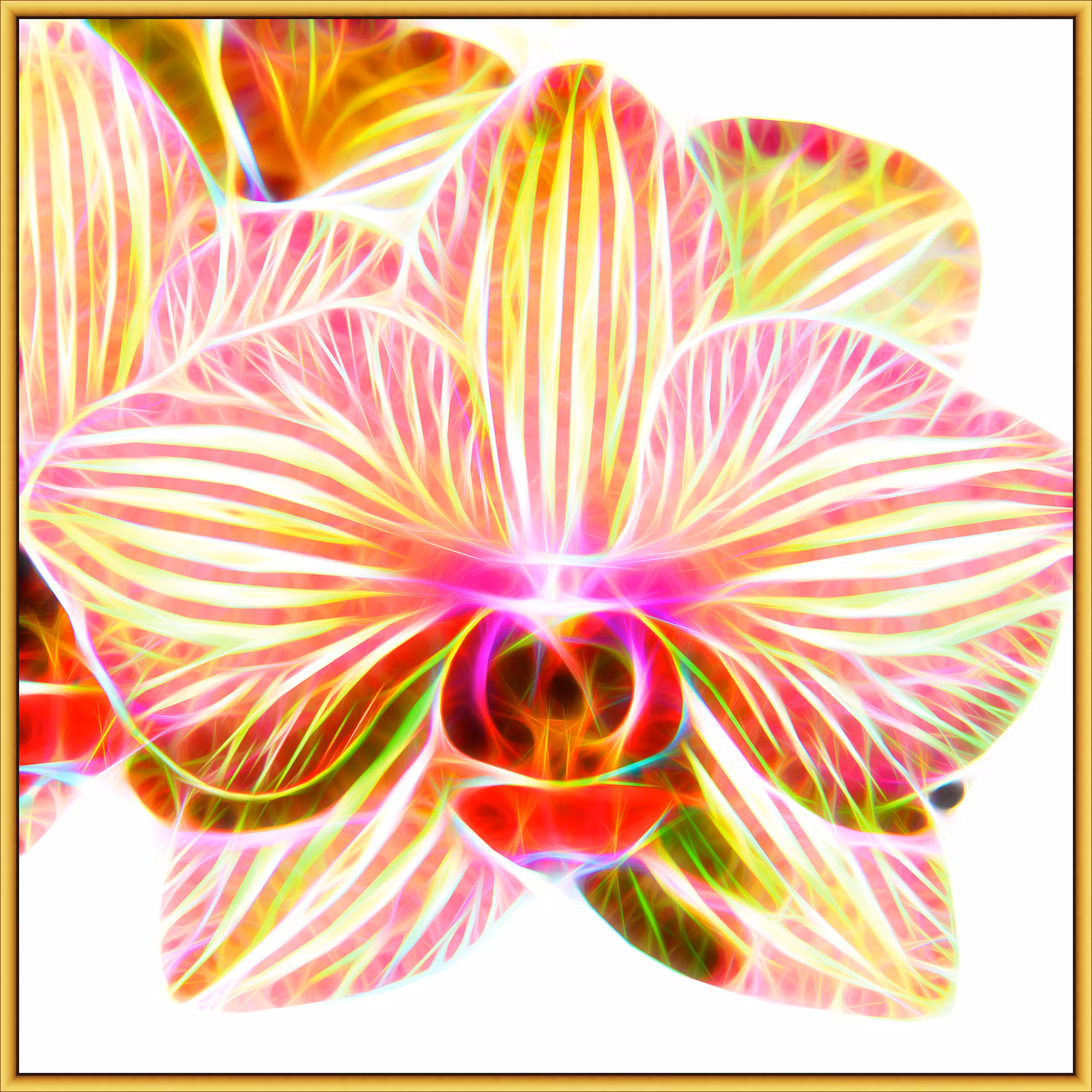 Tezoflower #26 