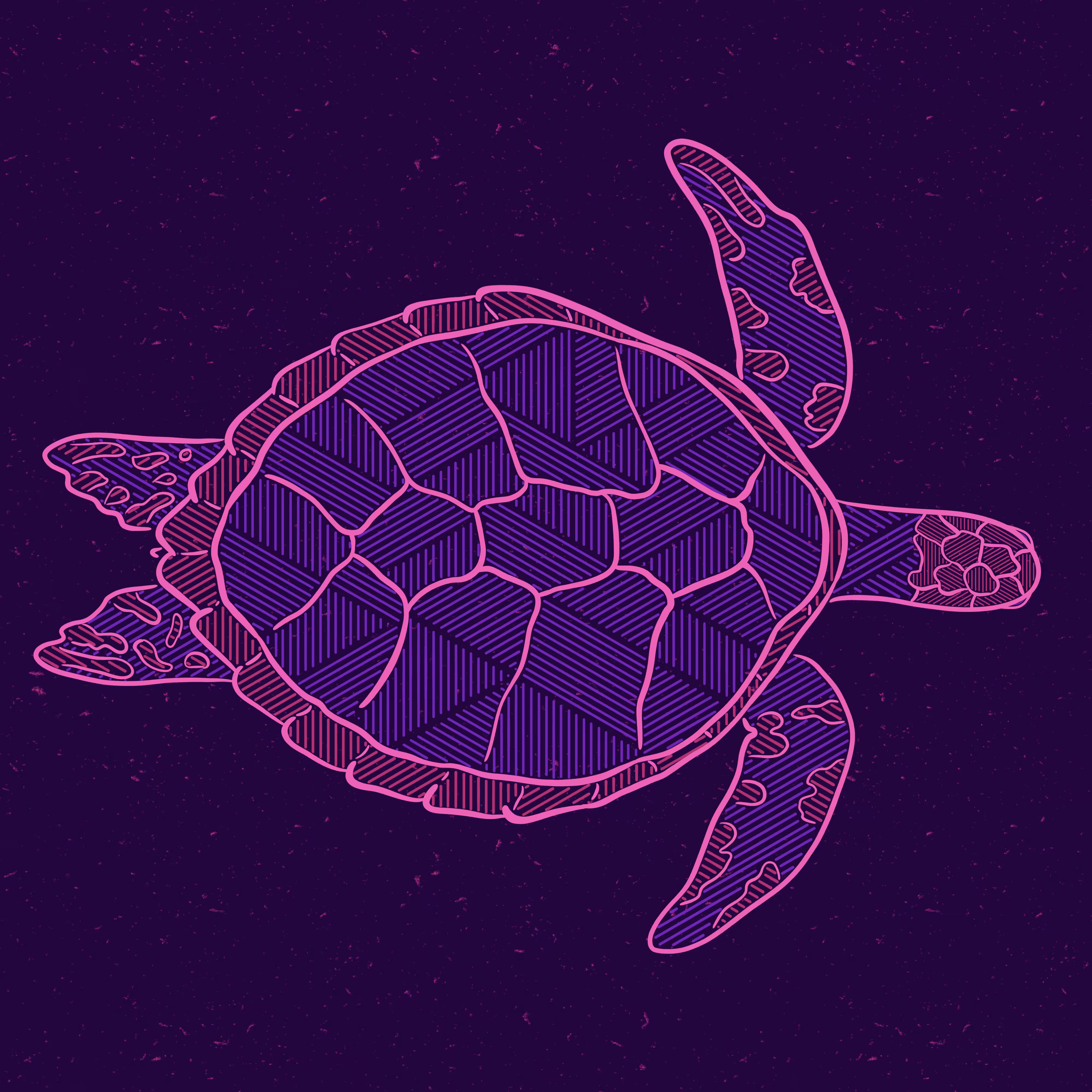 Turtle la#14