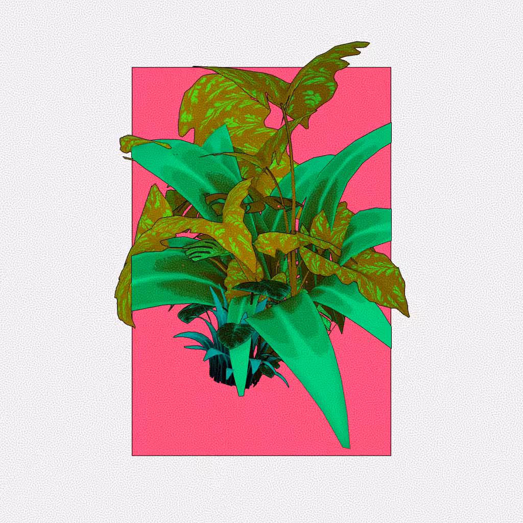 Botany #111