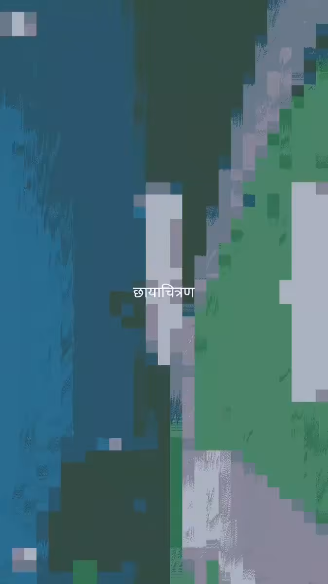 छायाचित्रण