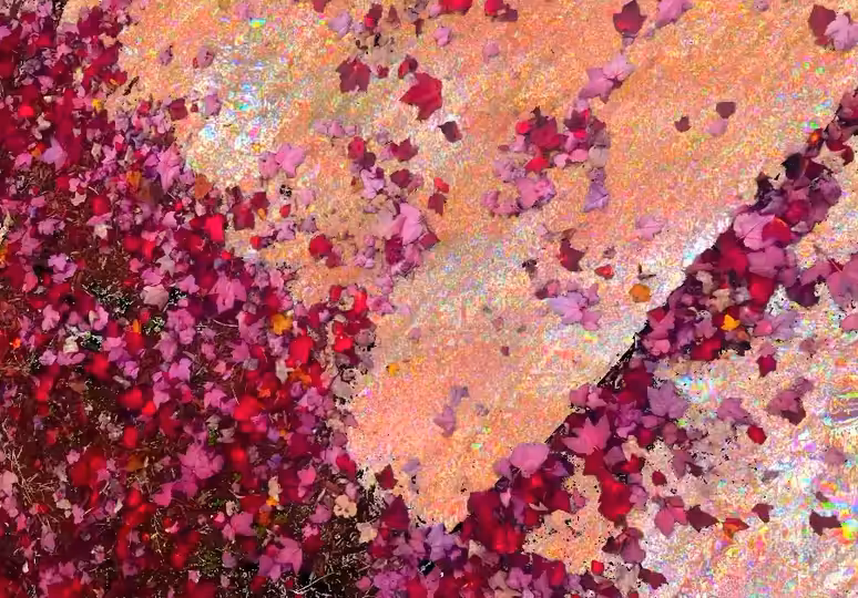 spring phosphenes