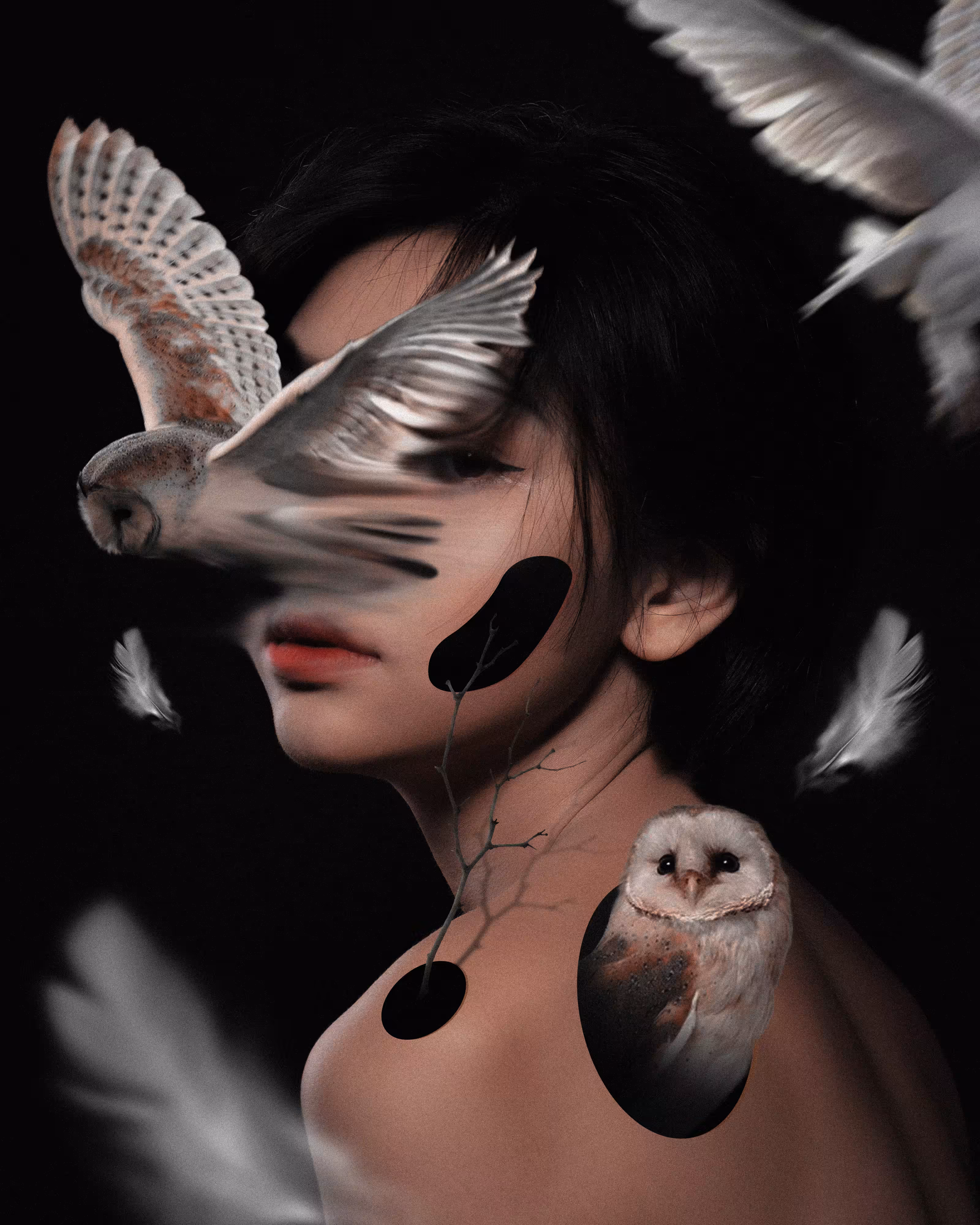 The Owl Girl