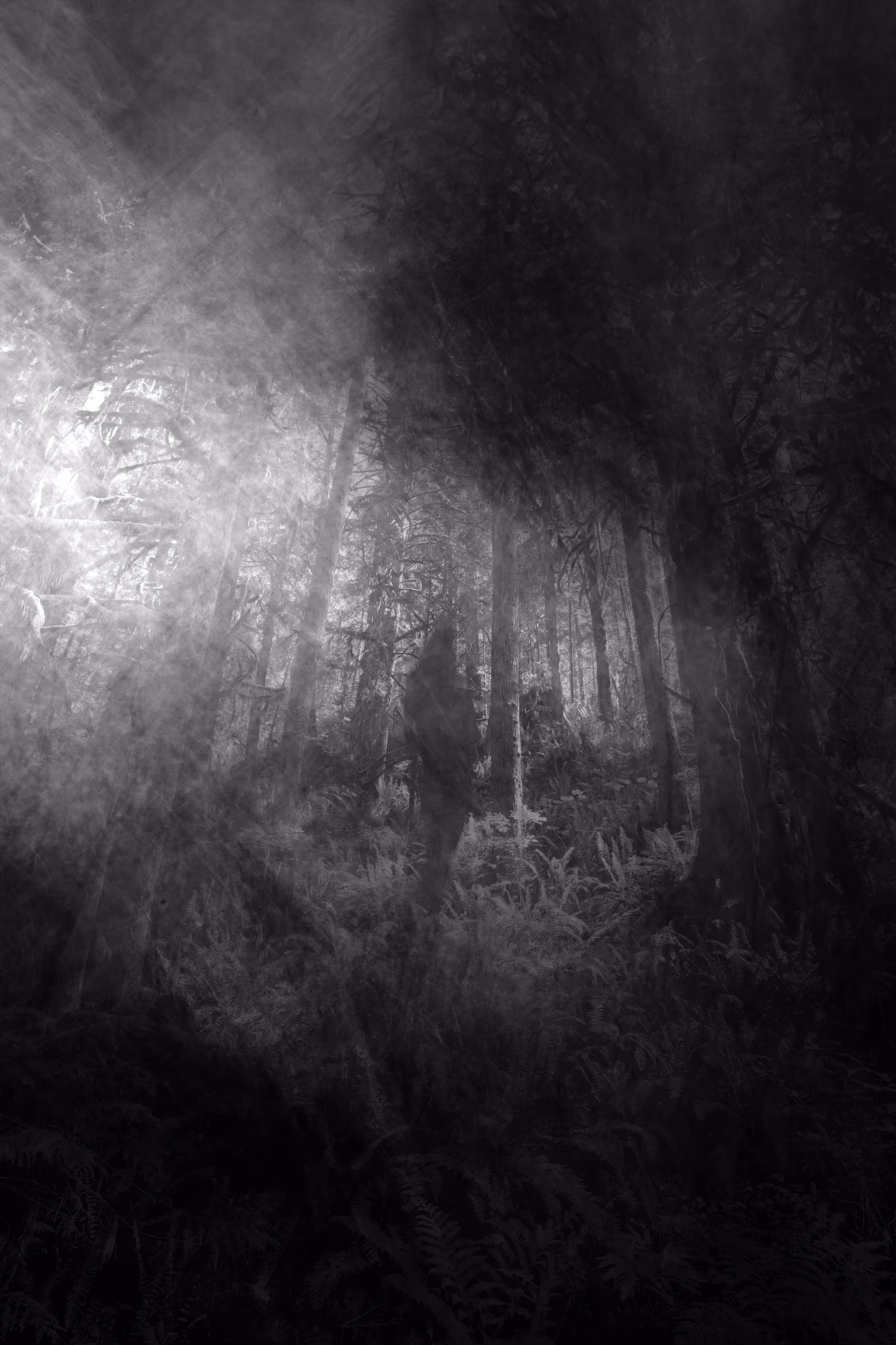 A Call To The Dark