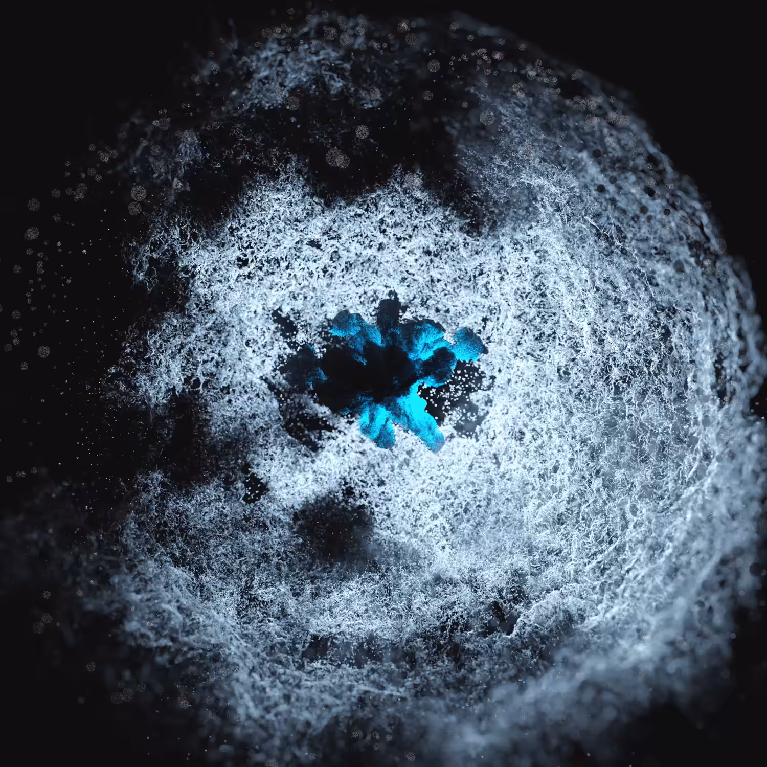 Frozen Galaxy by James Merrill