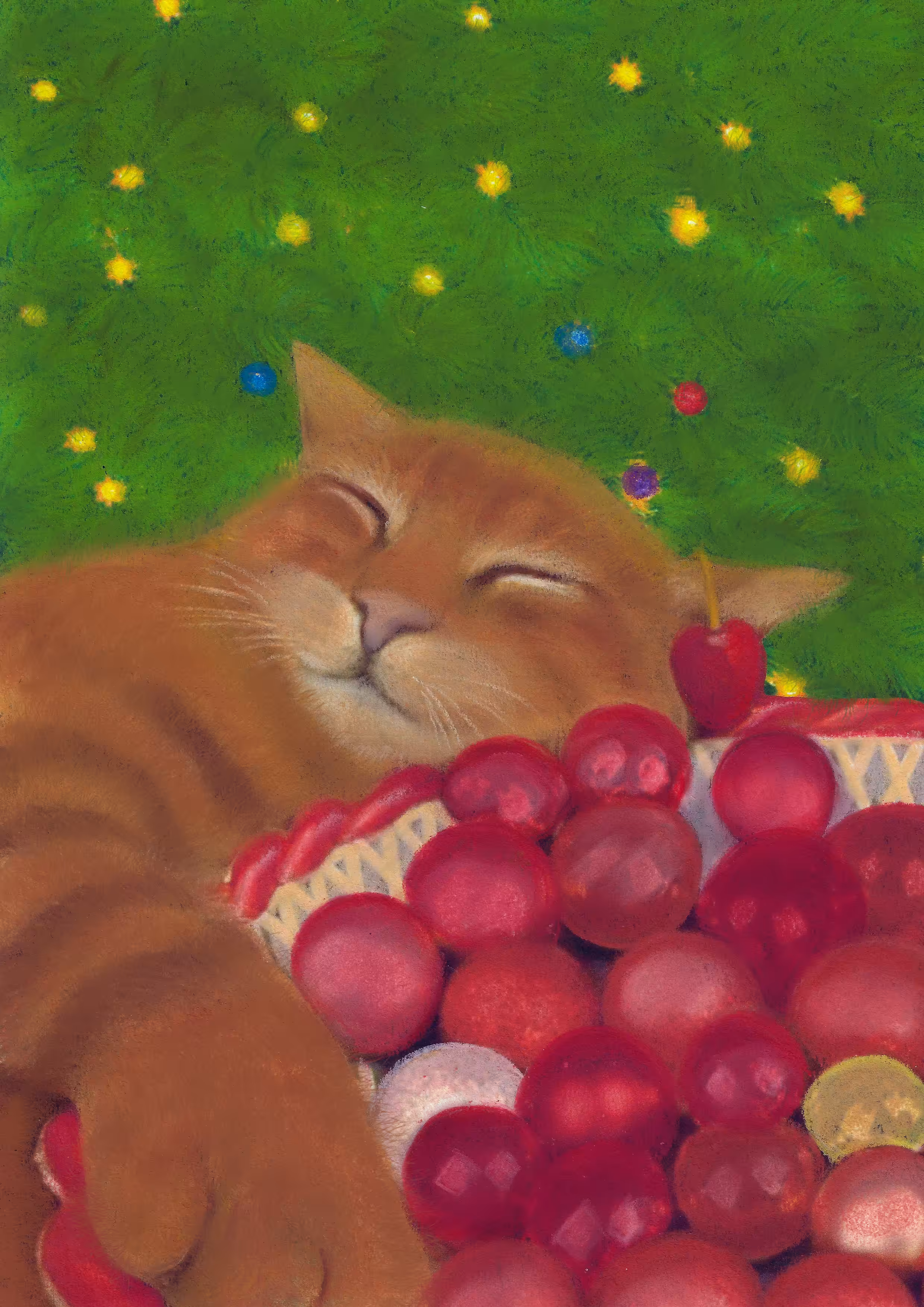 cats&another beautiful pets: Happy cat