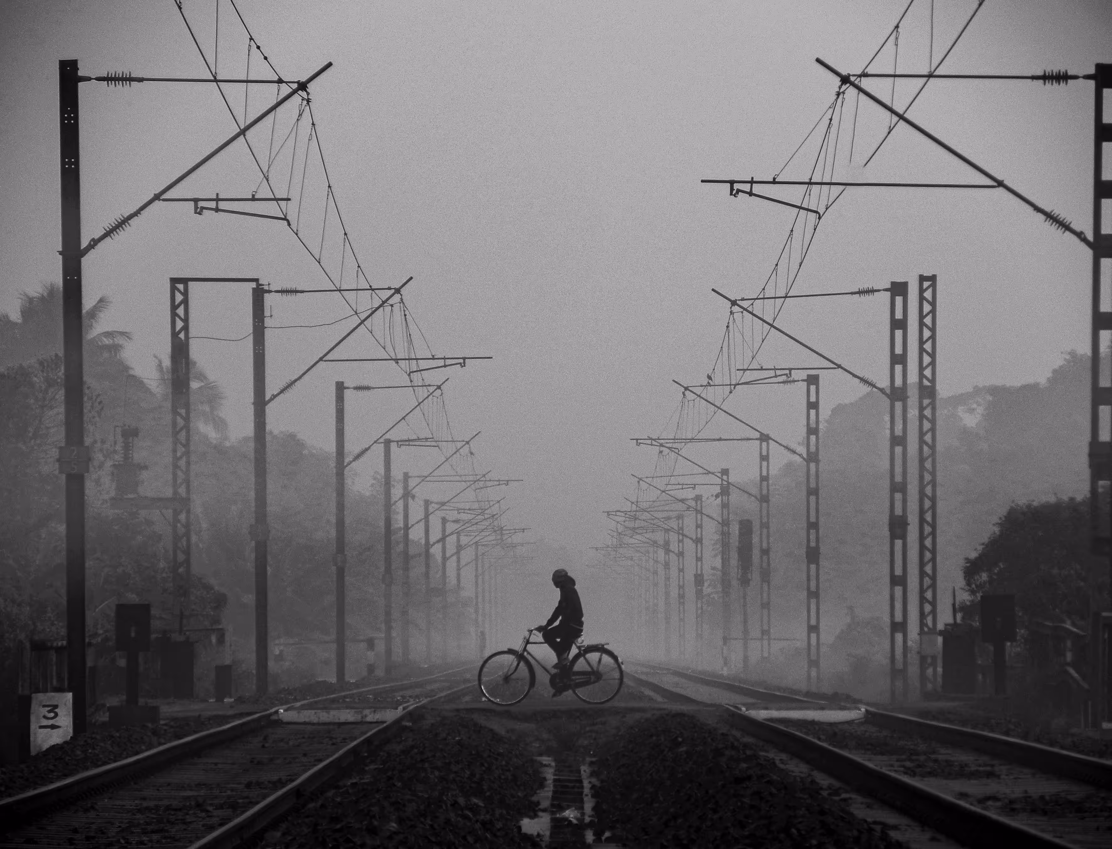FOGGY MORNING