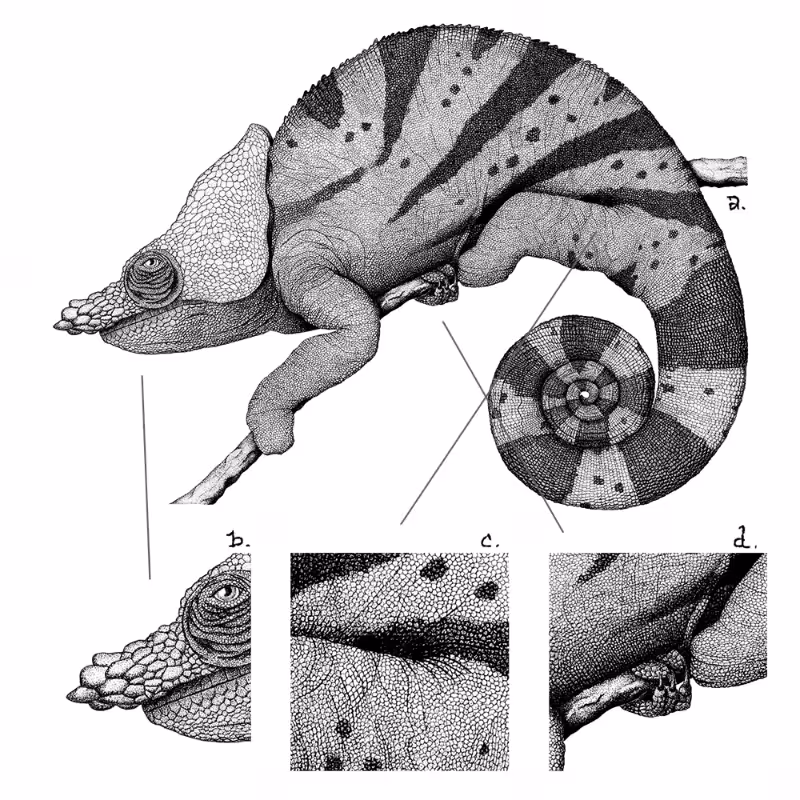 Chameleon - plante 1 #8