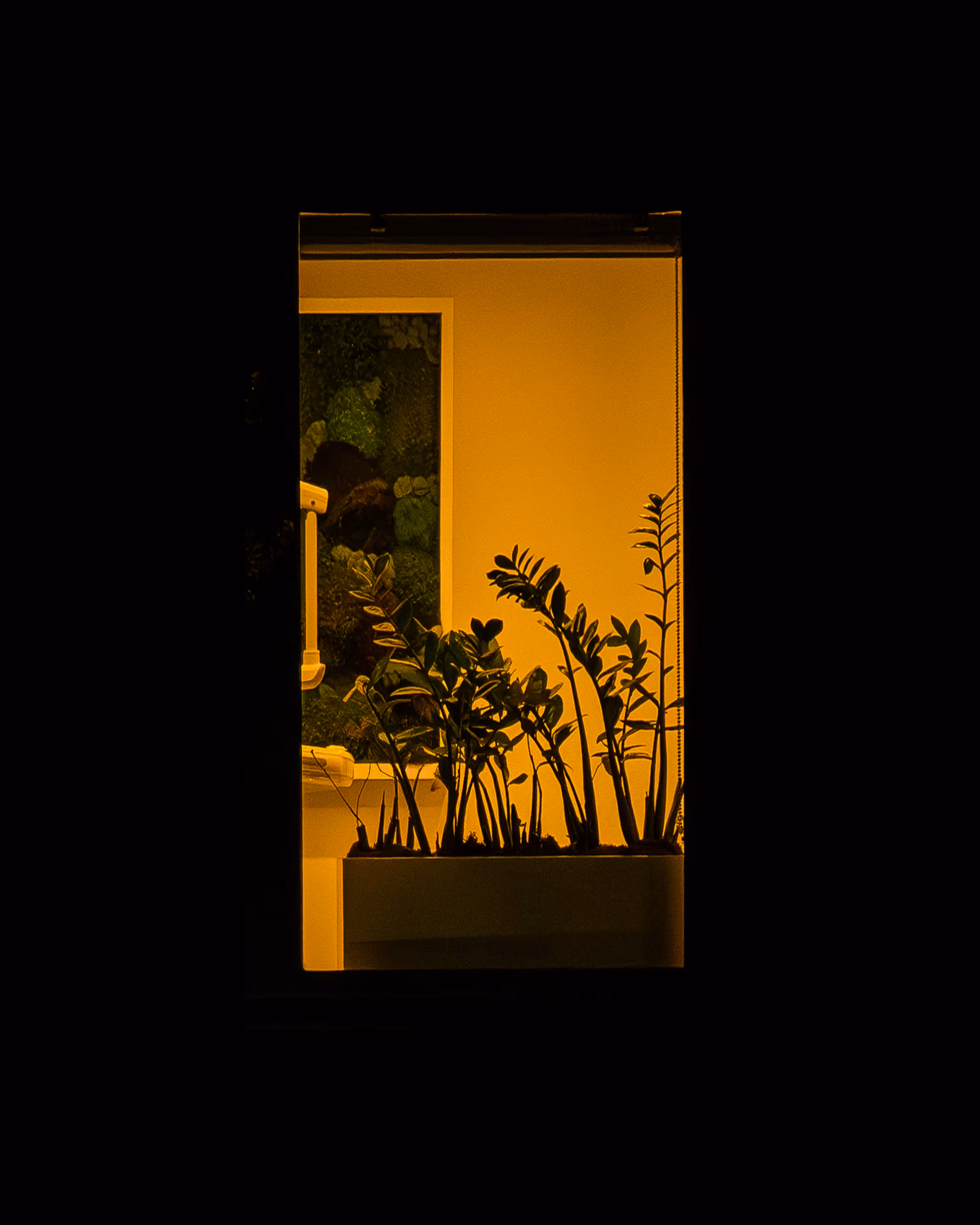 WINDOW 58