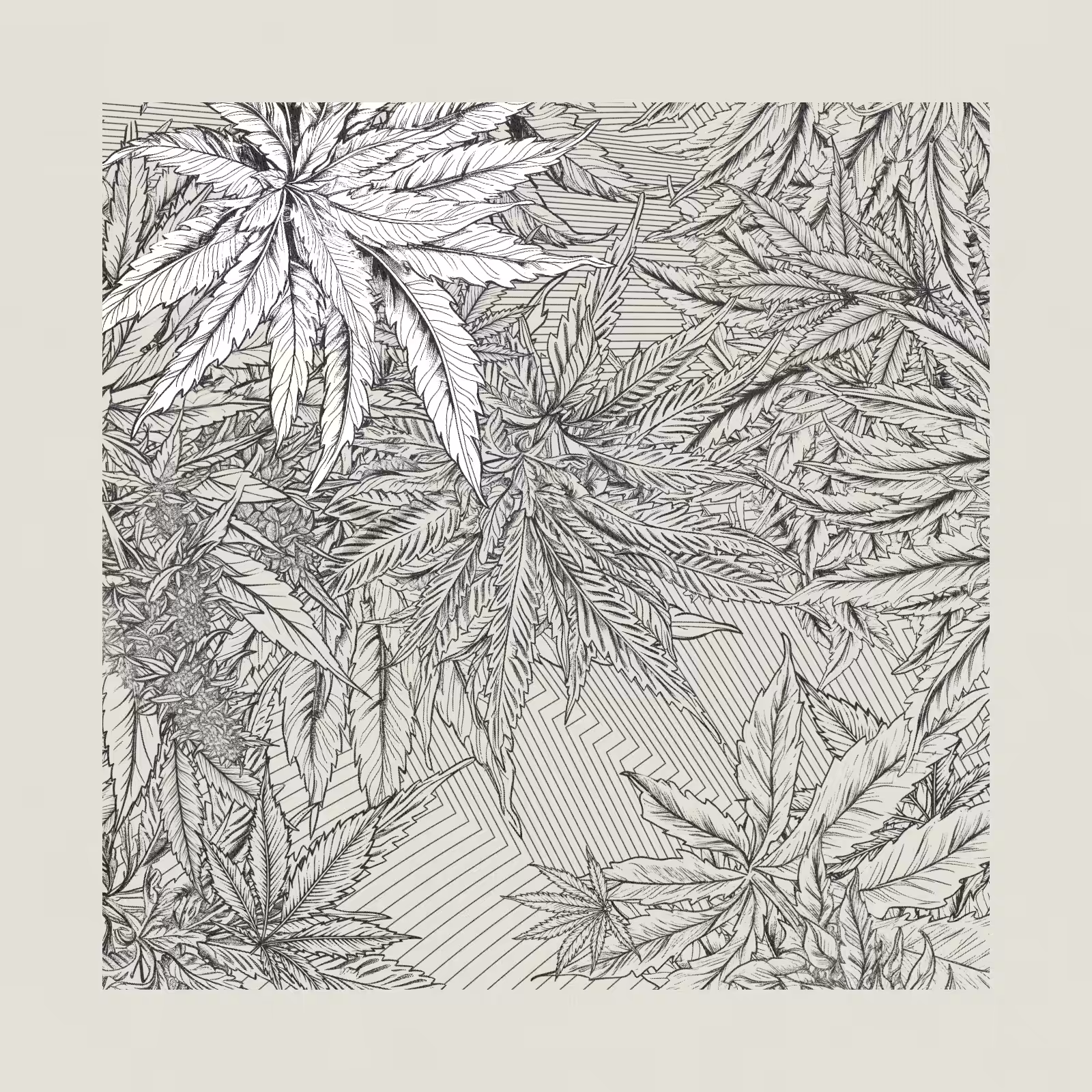 zancannabis #336
