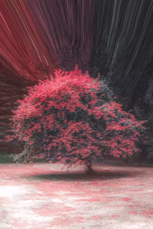 Blurry Visions #16
