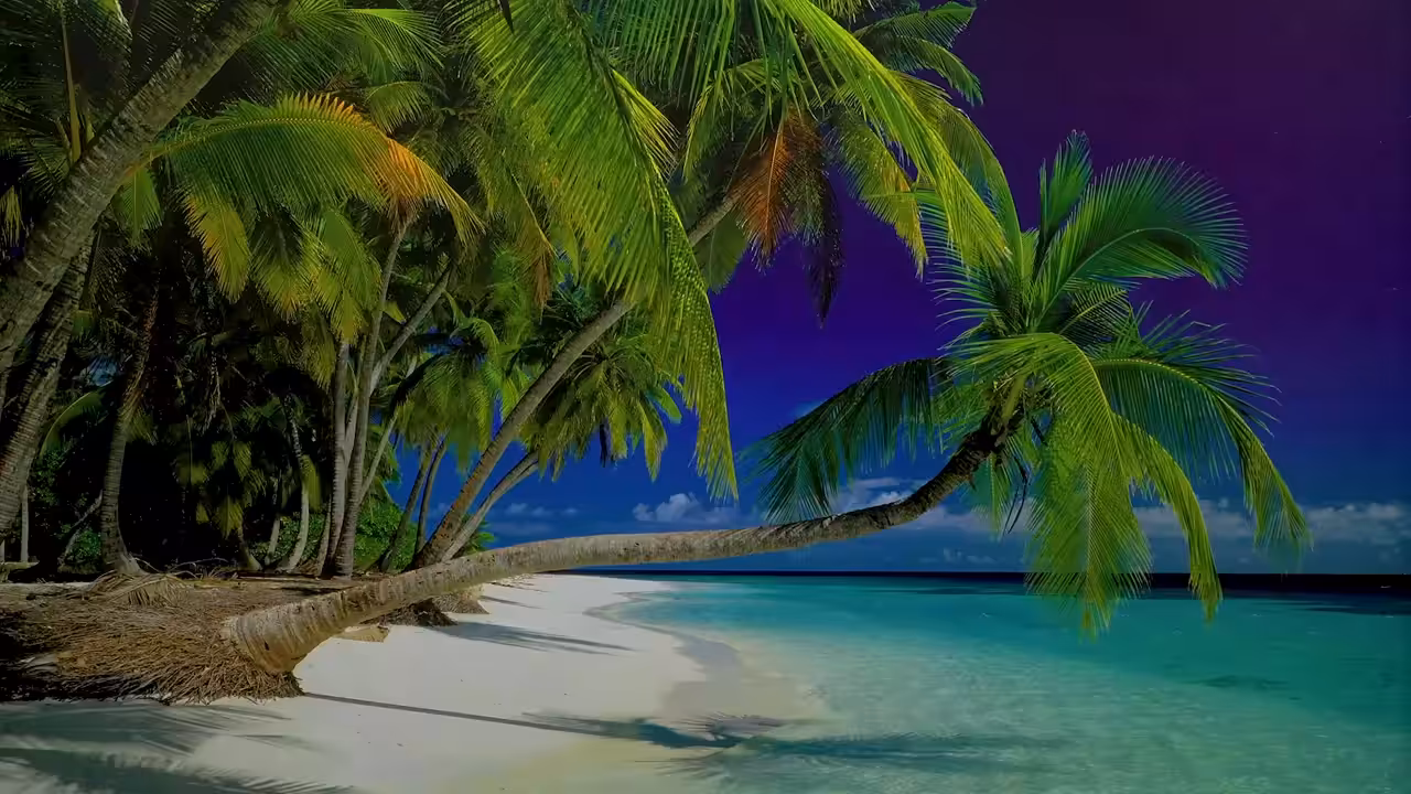 Screensaver
