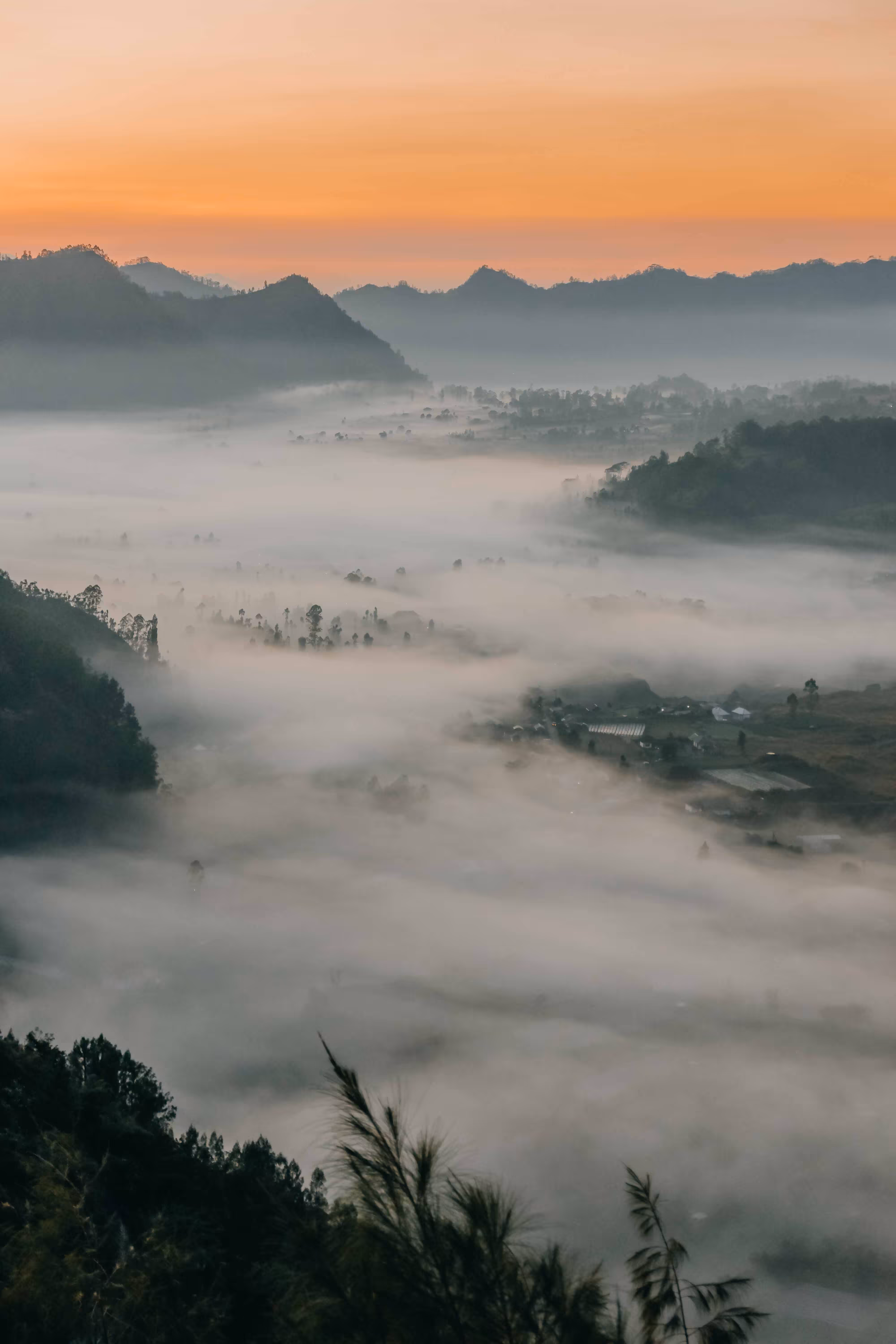 Misty Morning
