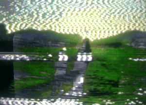 AI_NIMA/-249