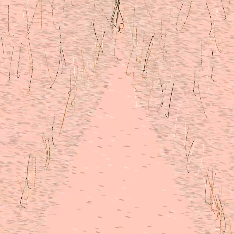 Forest path #3