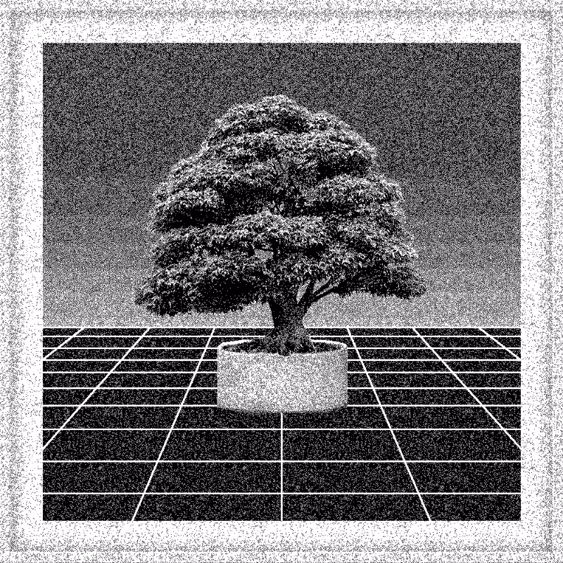 Bonsai Bonanza #866