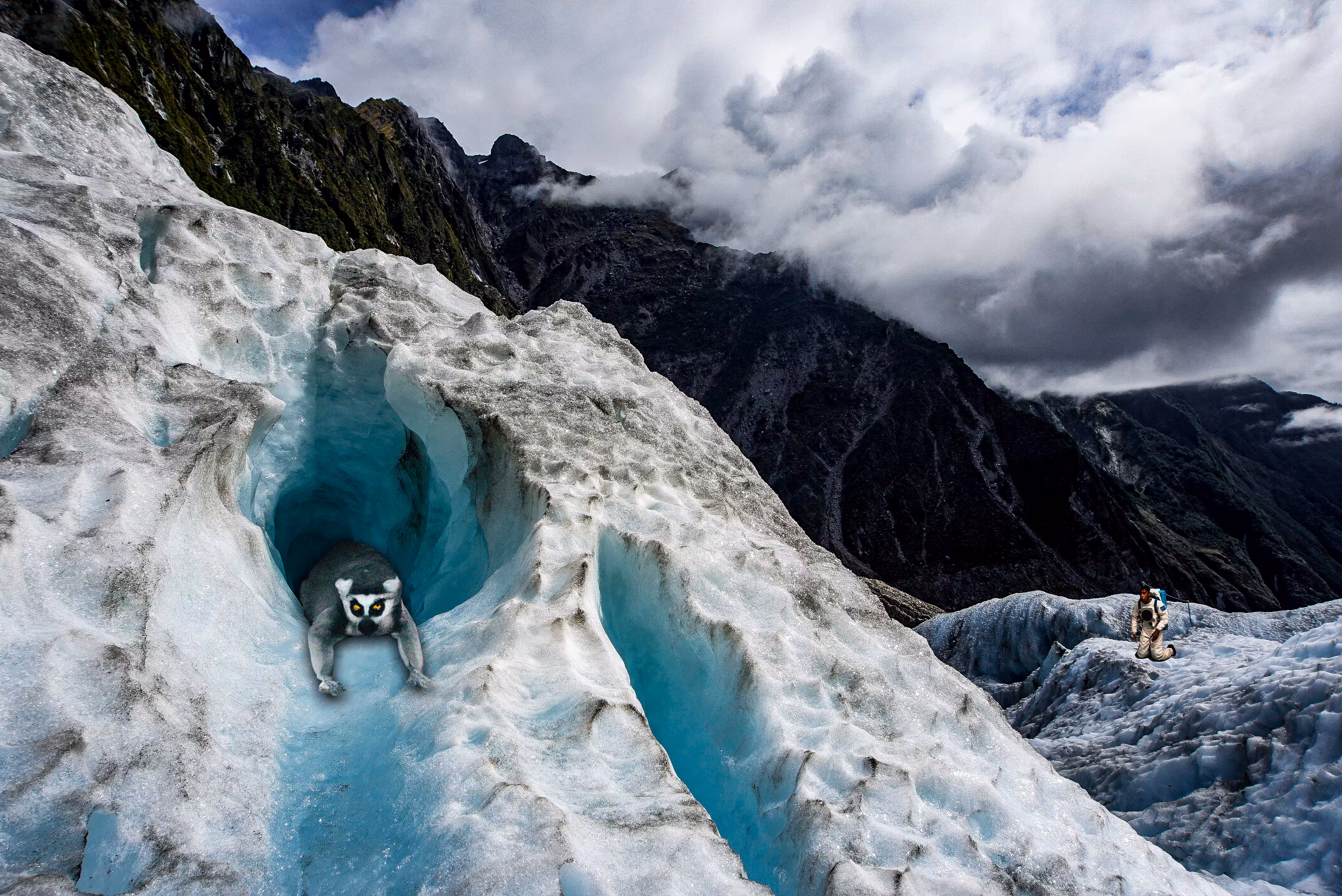 Lost Lemur on Ice