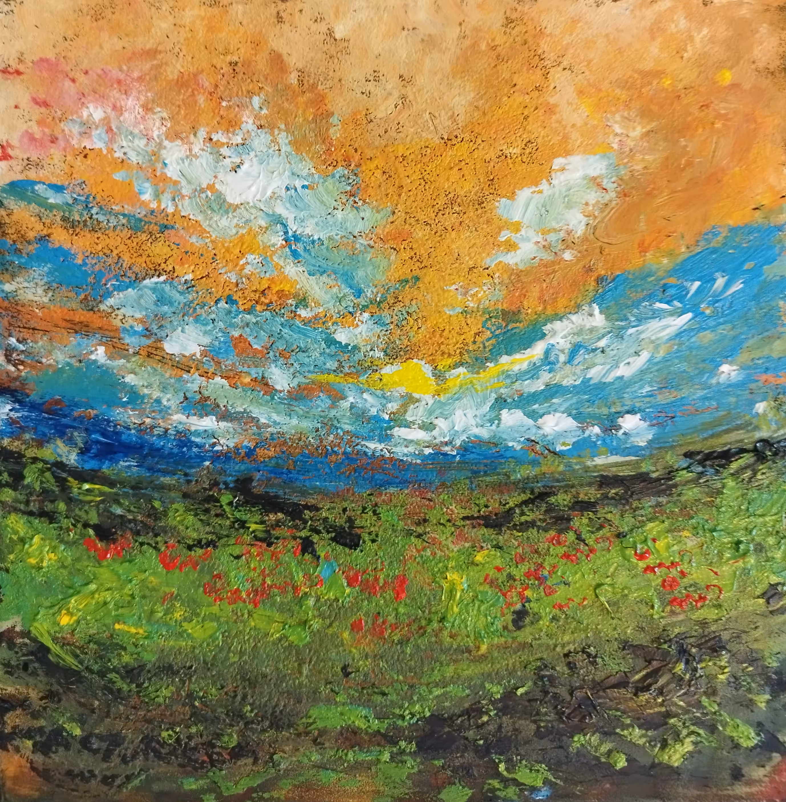 Poppy field 