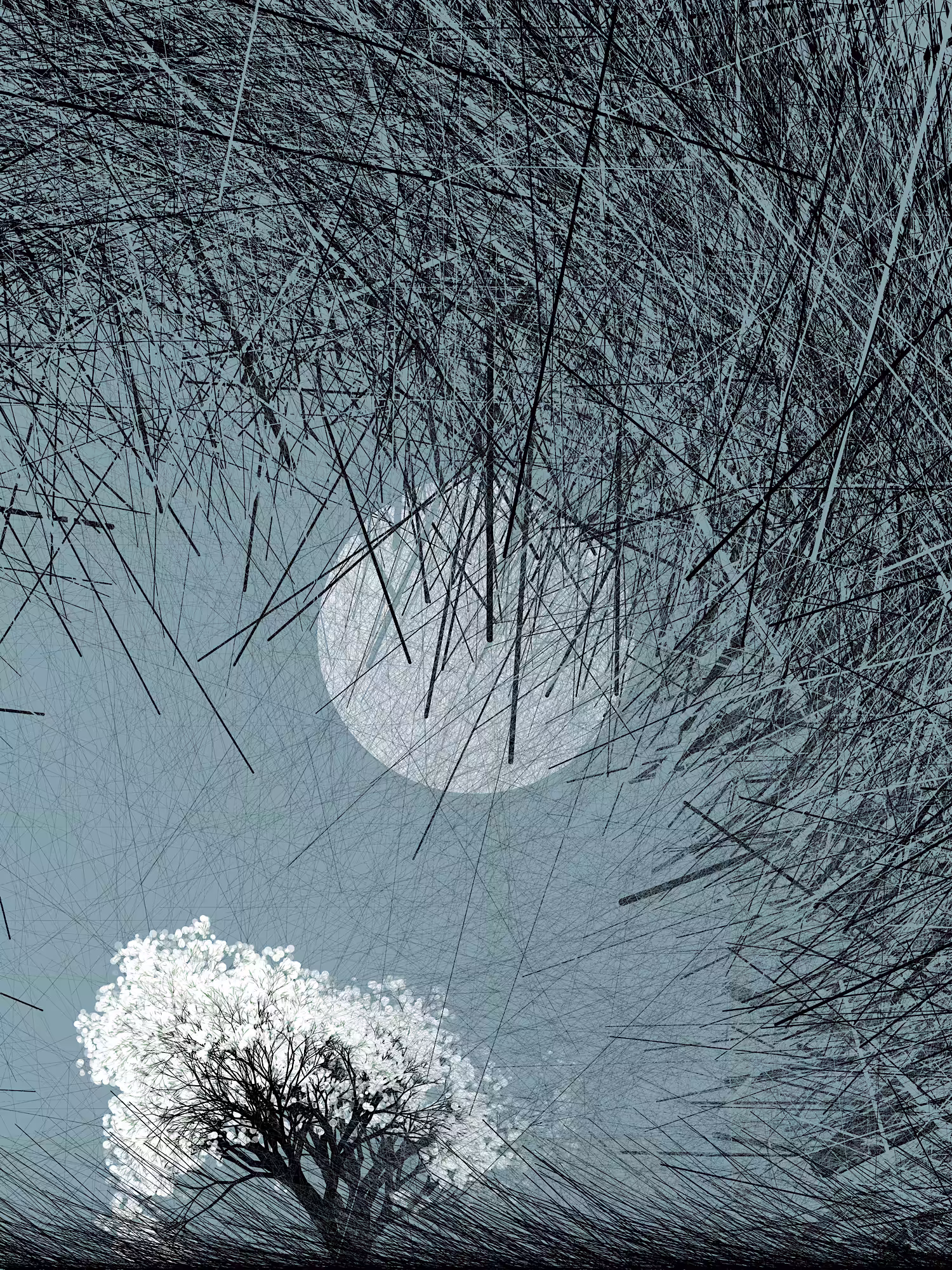 Conversation with the wind
