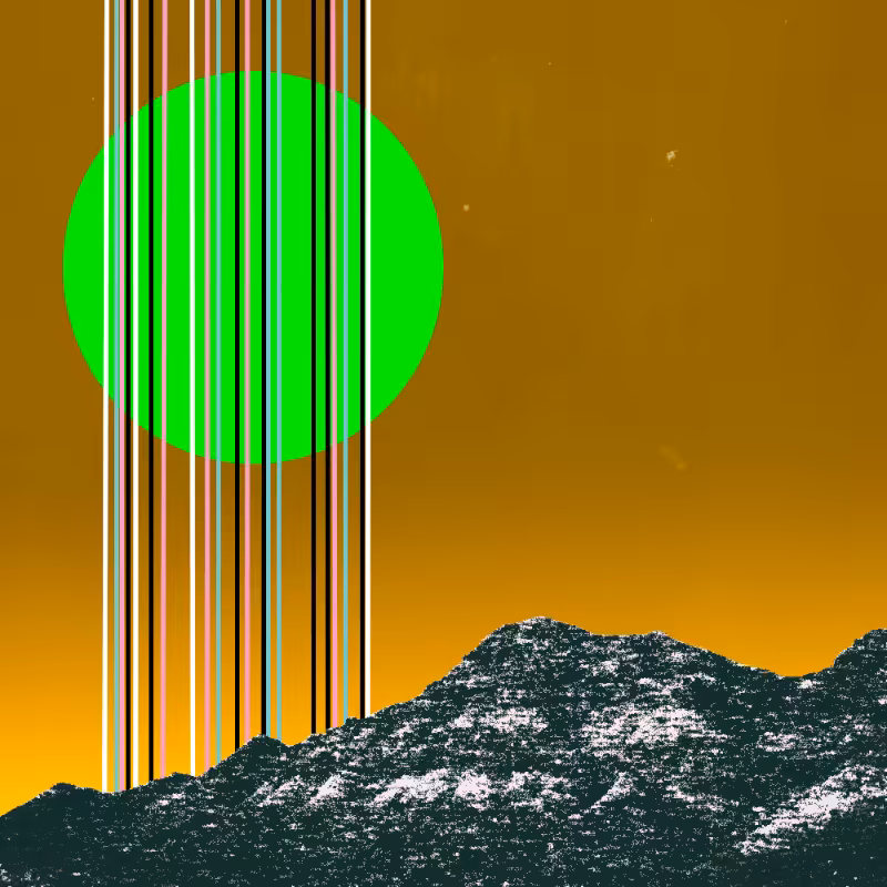 collage #1  from nature #8