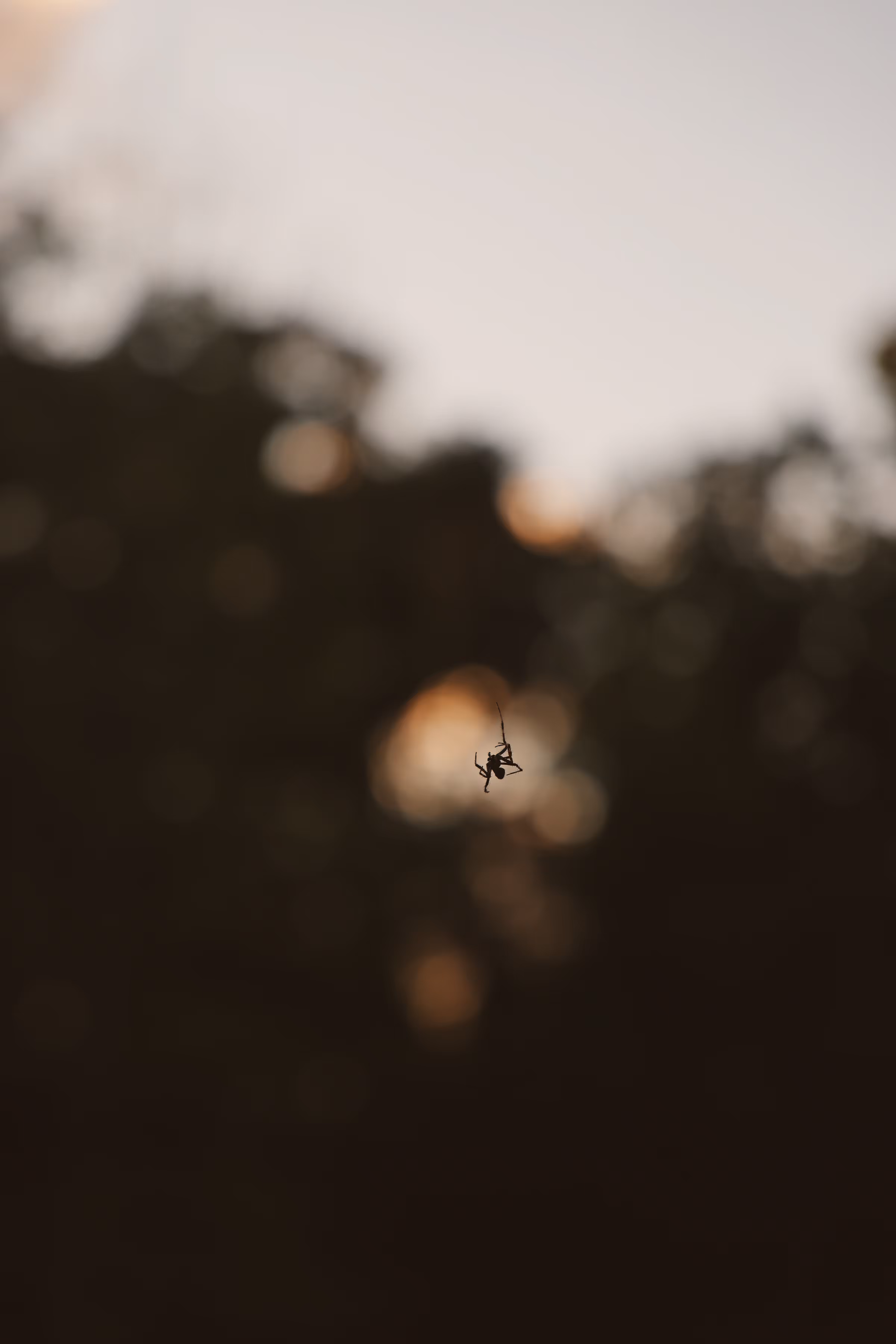 _waiting