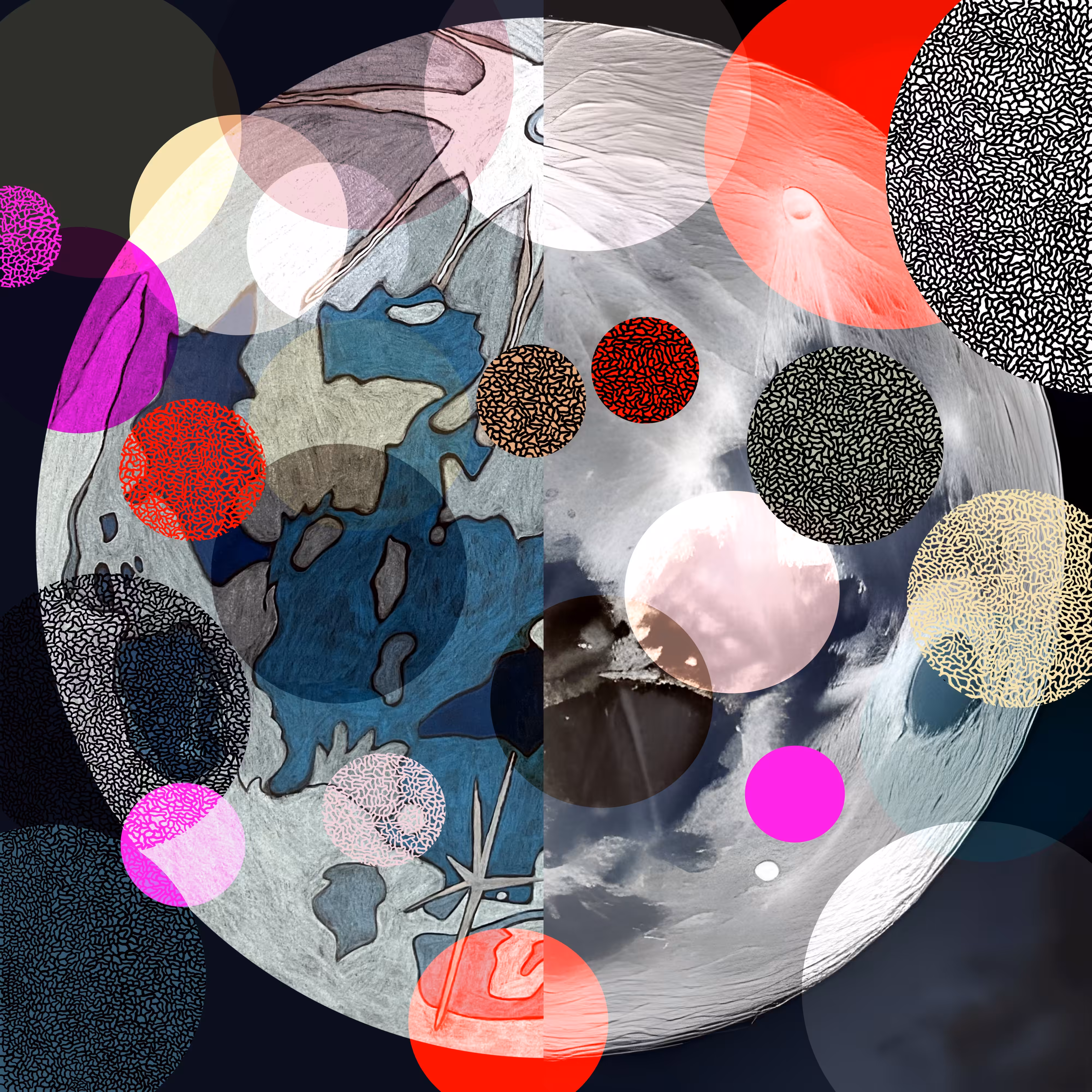 A Moon for Everyone