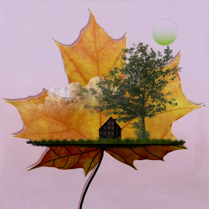 Live in Nature #35
