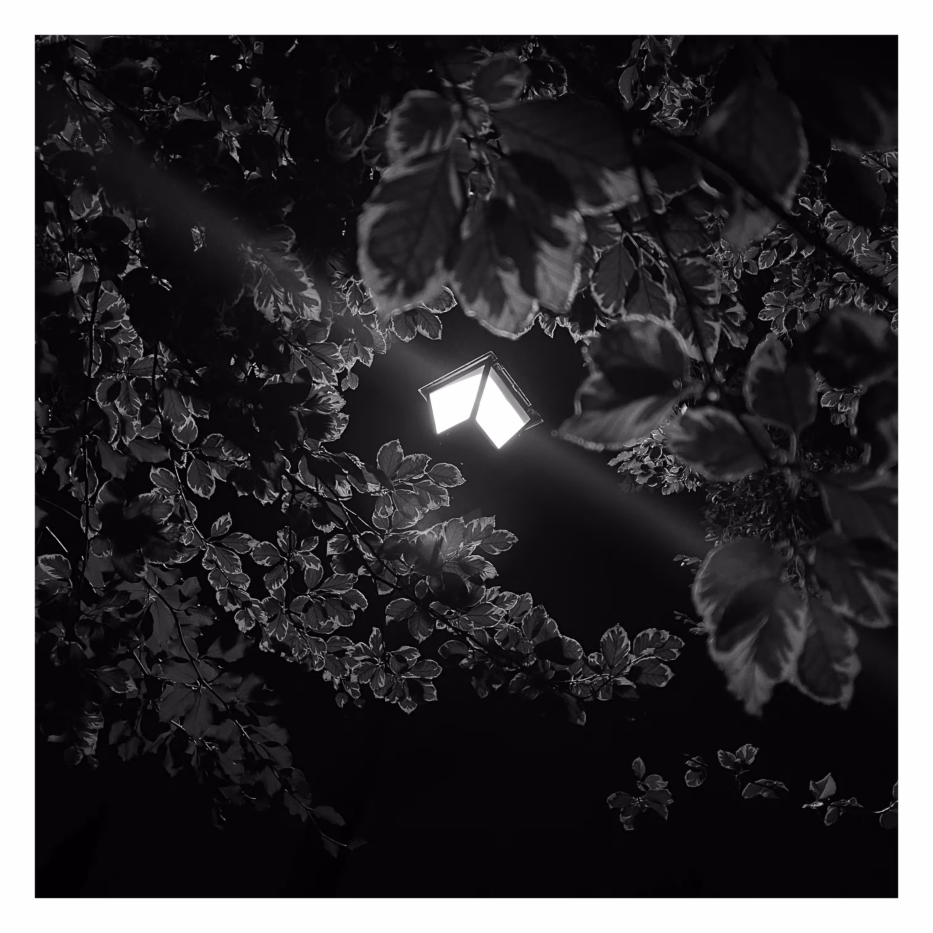 July 24, 2023 • 11:14pm