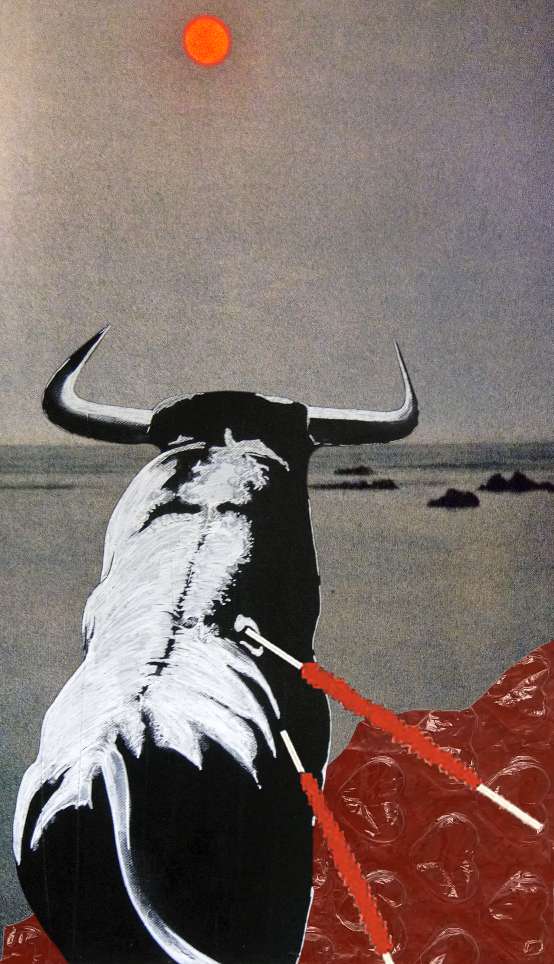 Against the Red Sun