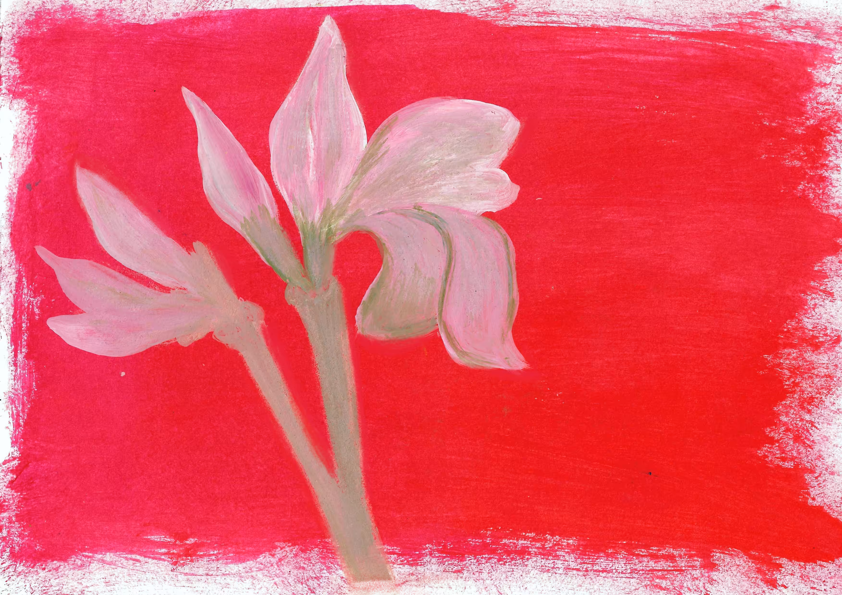 flower 2