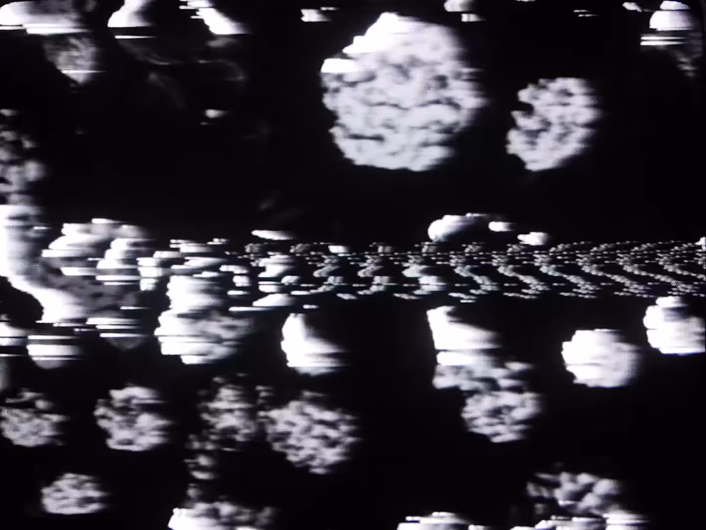 Xylem Coherence