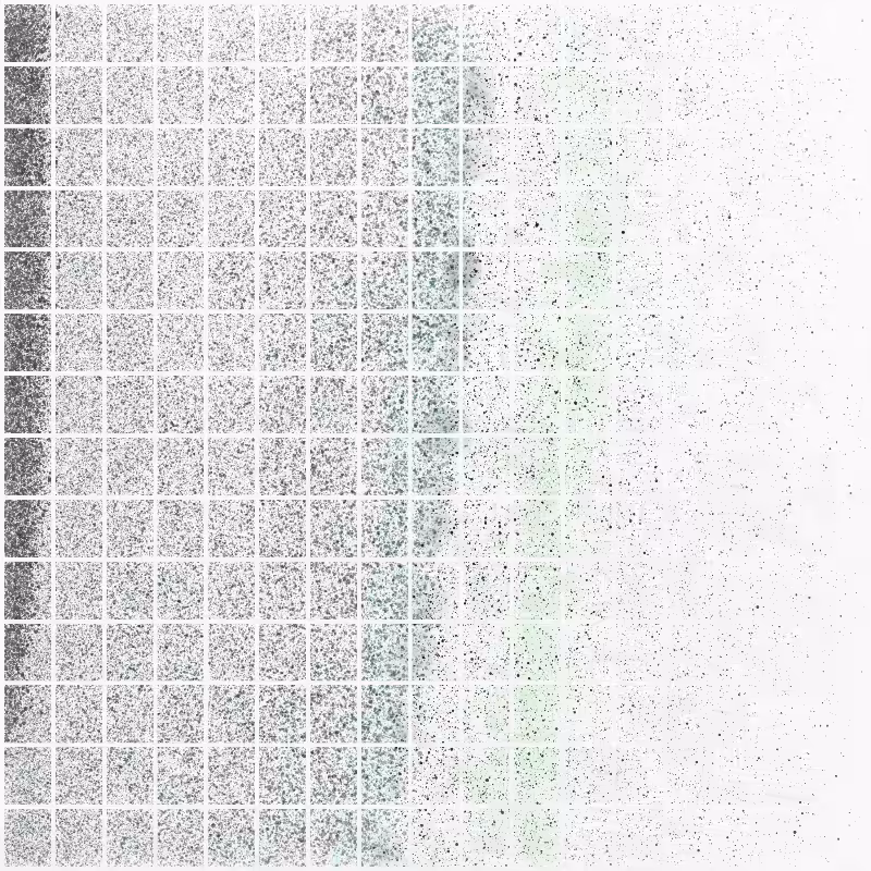 Boundary Conditions #235