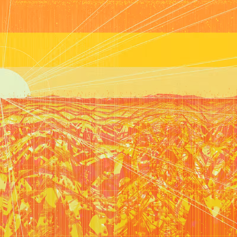 The Valley #75