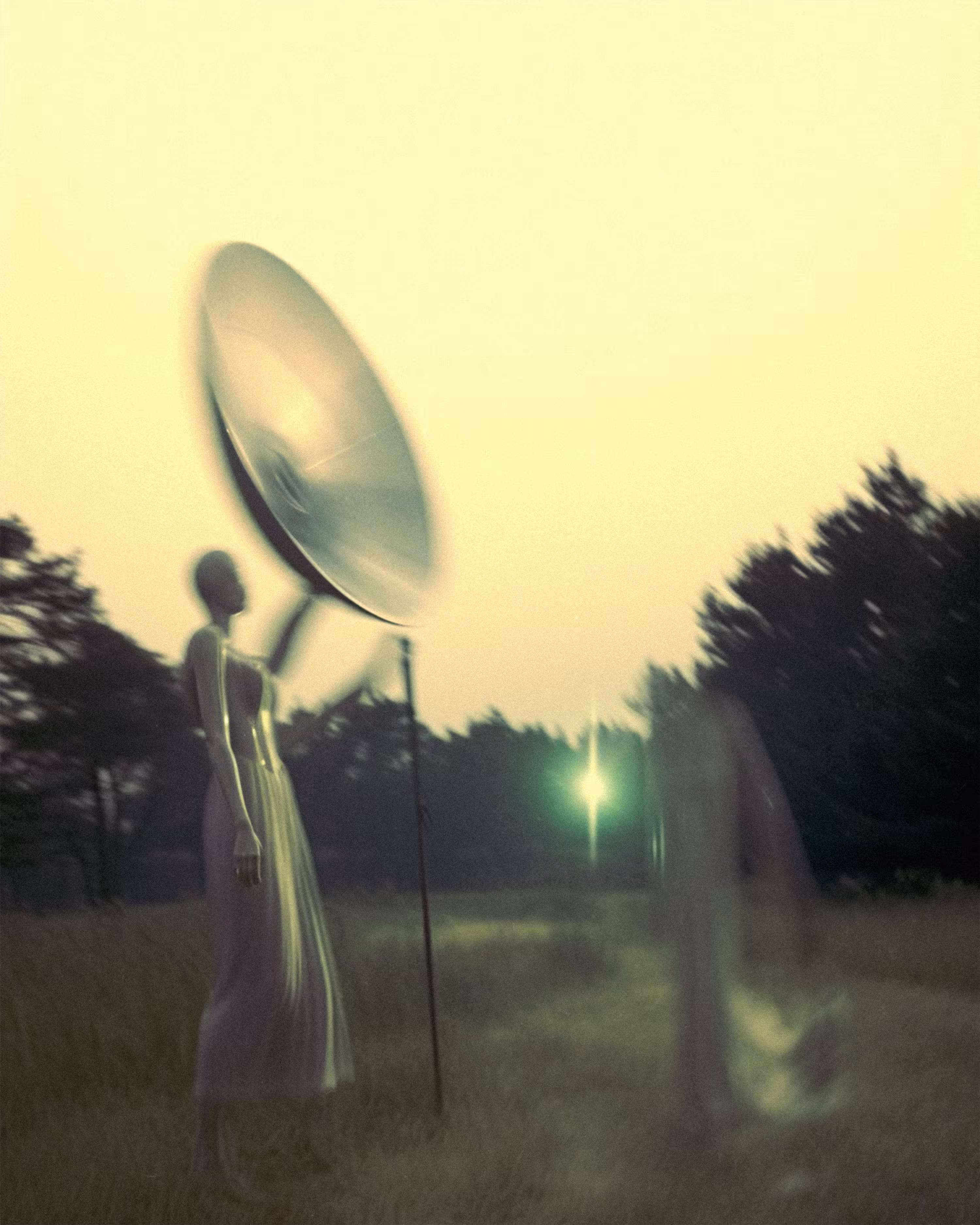 Ephemeral Whispers-33