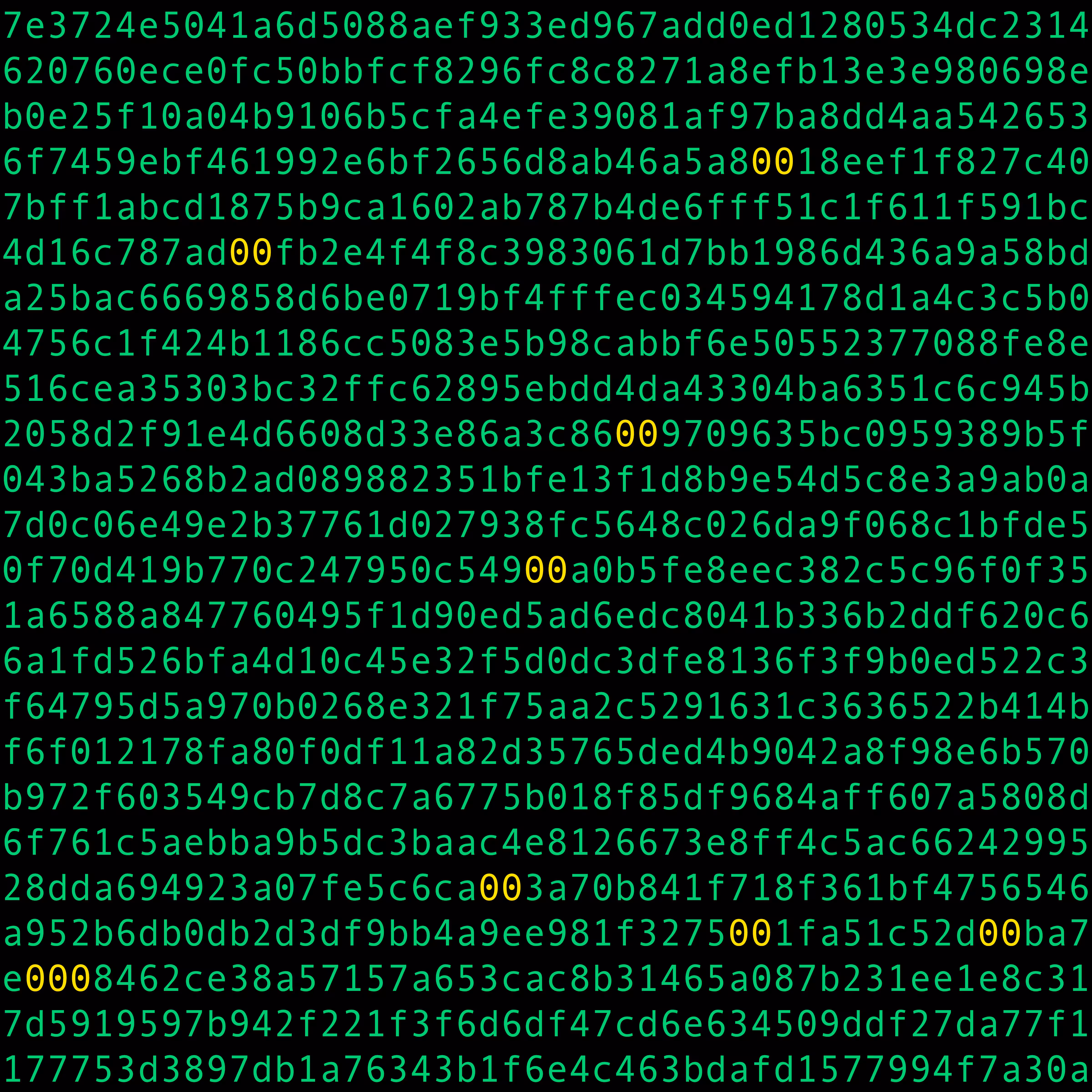 1111 #0153