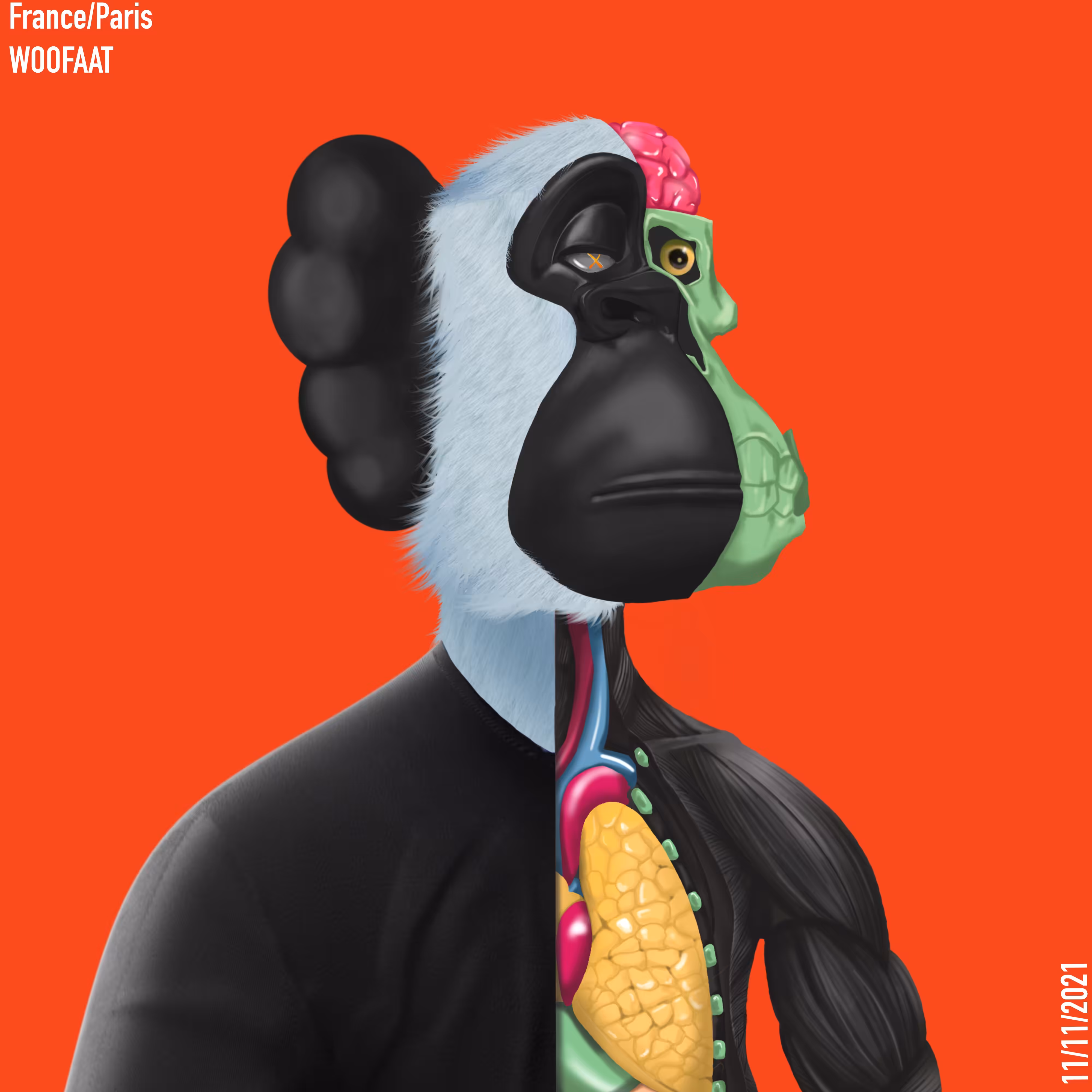 Half Ape Half Bones