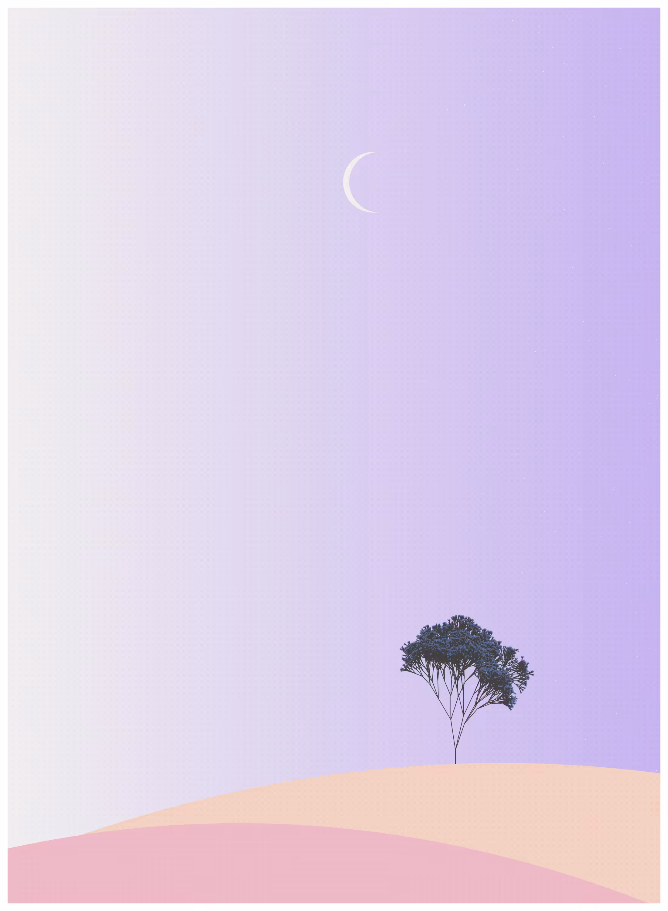 Ecos de Calma #11