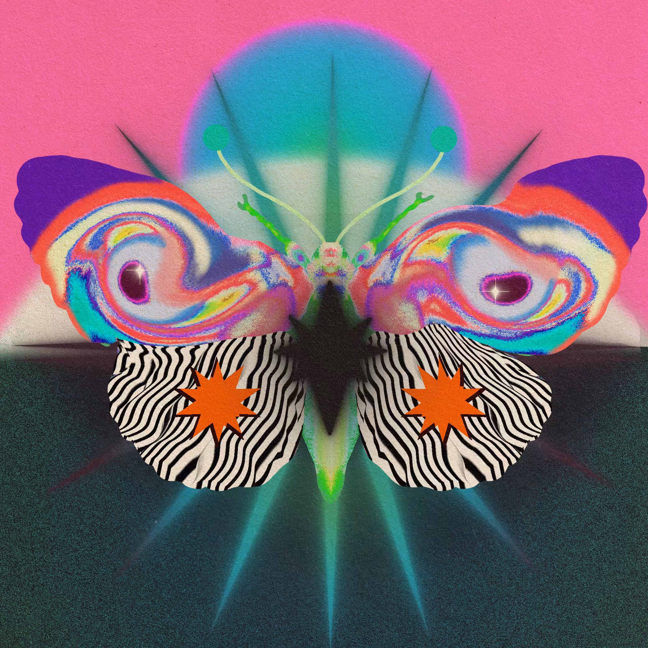Neon Moth
