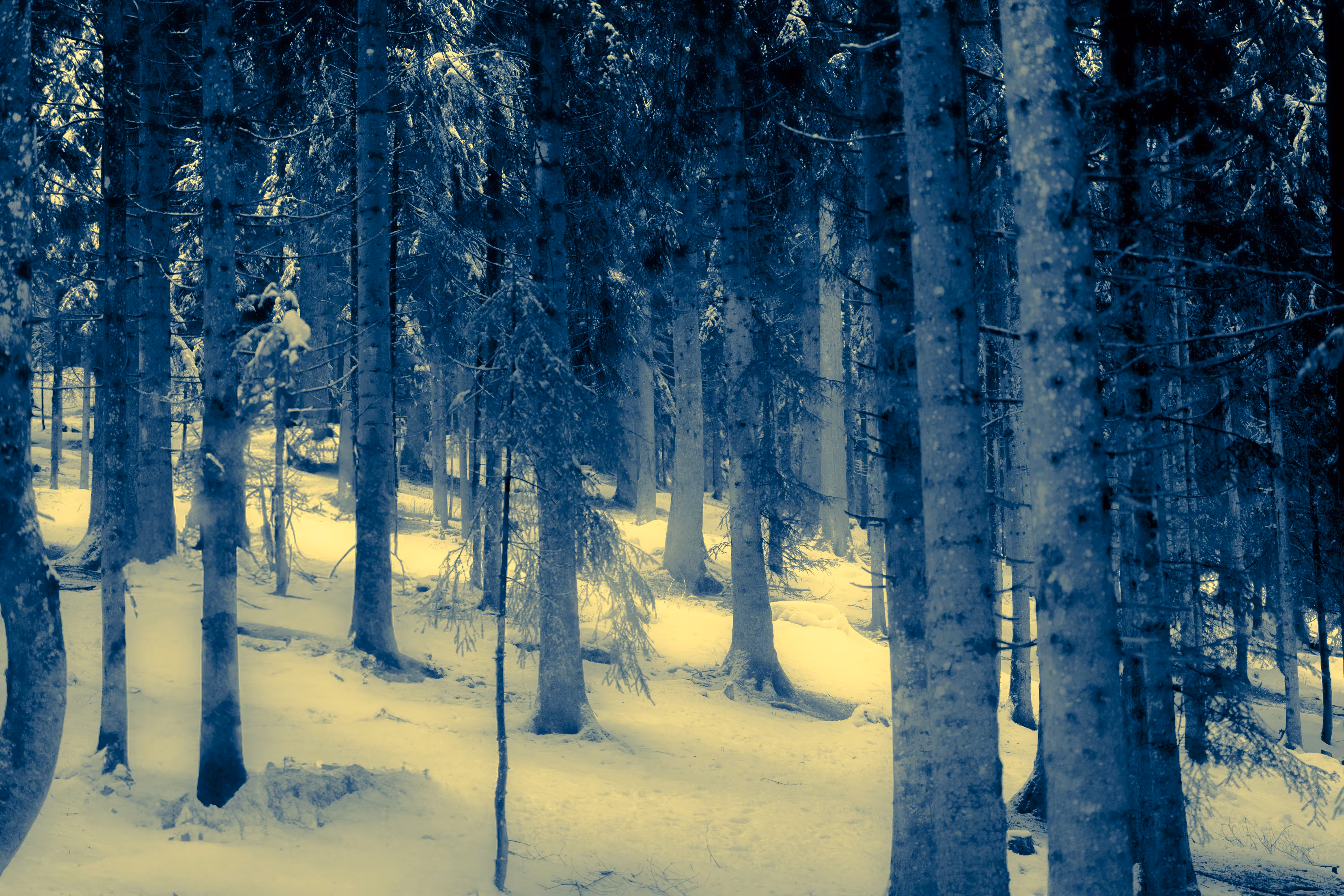 What We Leave In The Cold: In The Haze Of Becoming