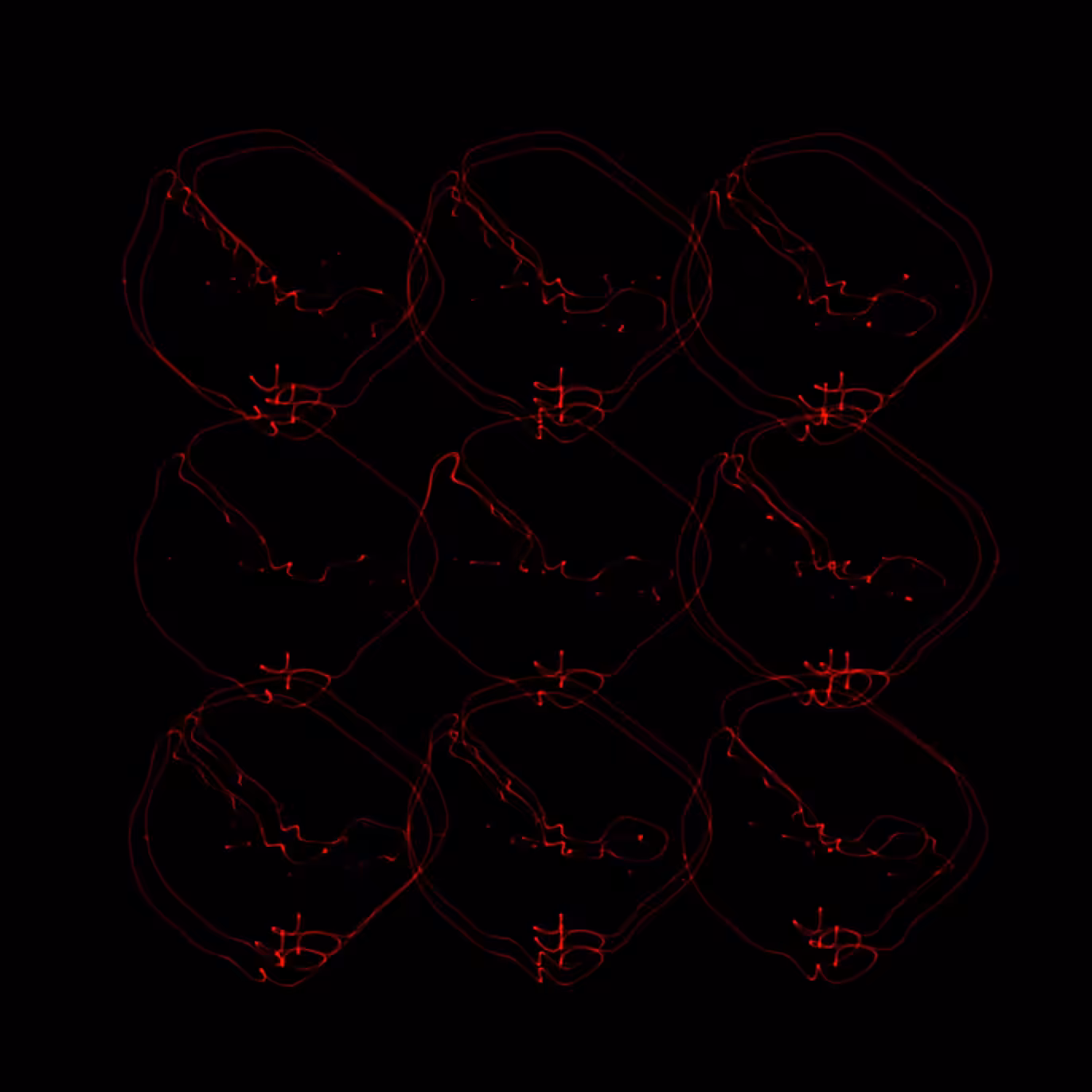 The Entity Variant 7