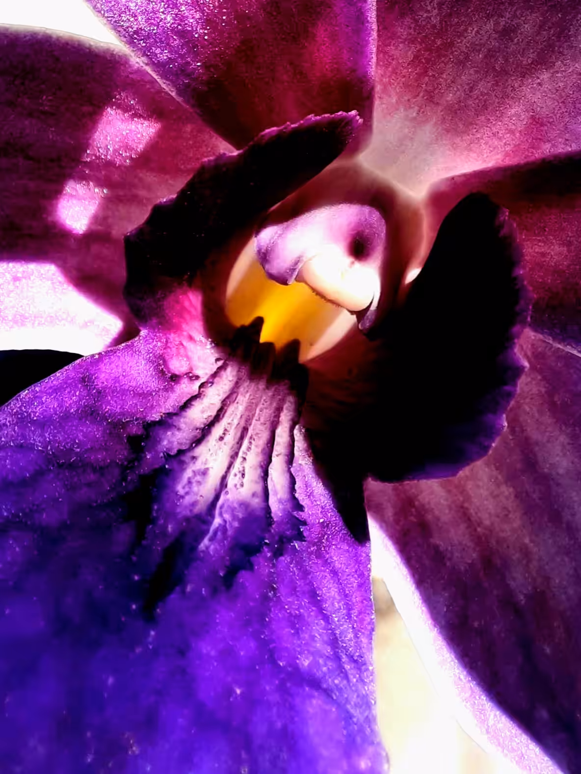 Abstract-Nature#3 